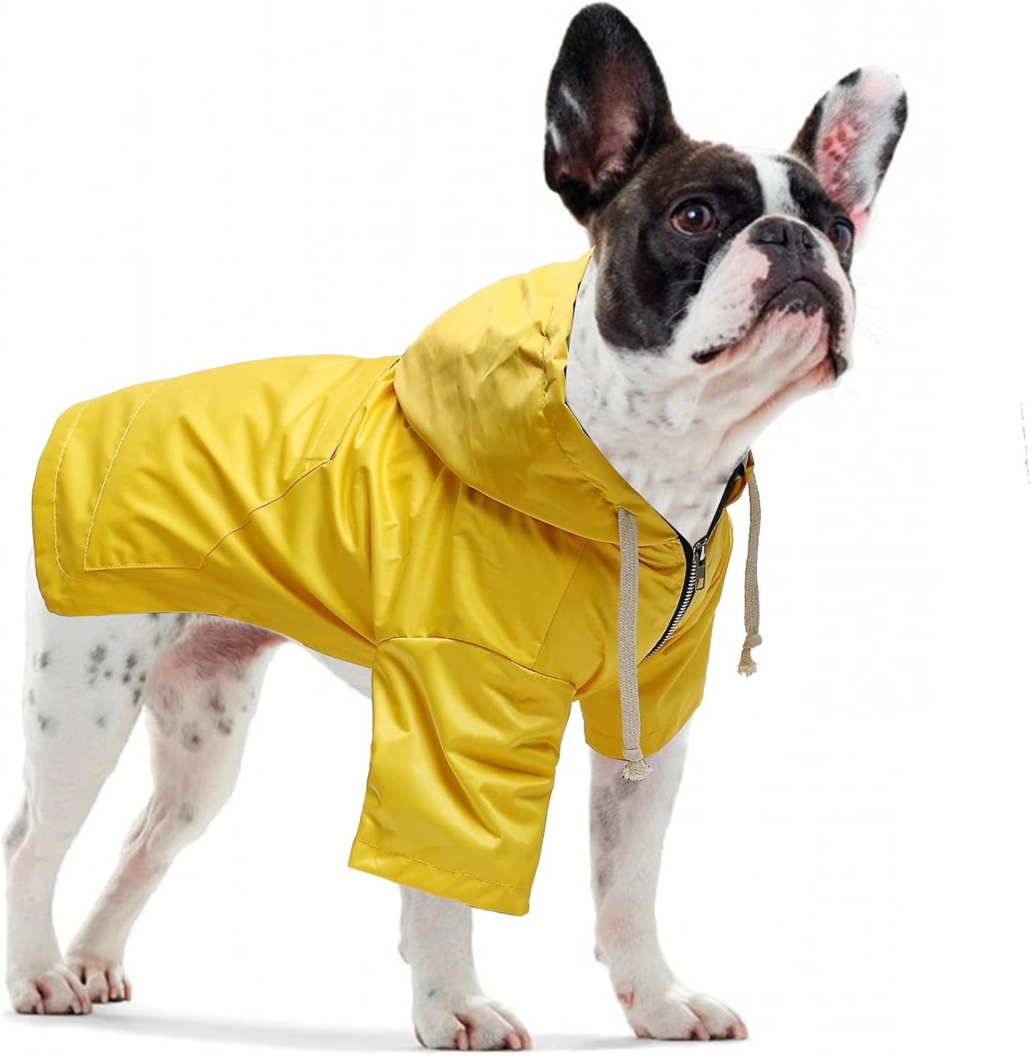 Wasserdichter Hundemantel mit Kapuze und Reissverschluss, S Gelb