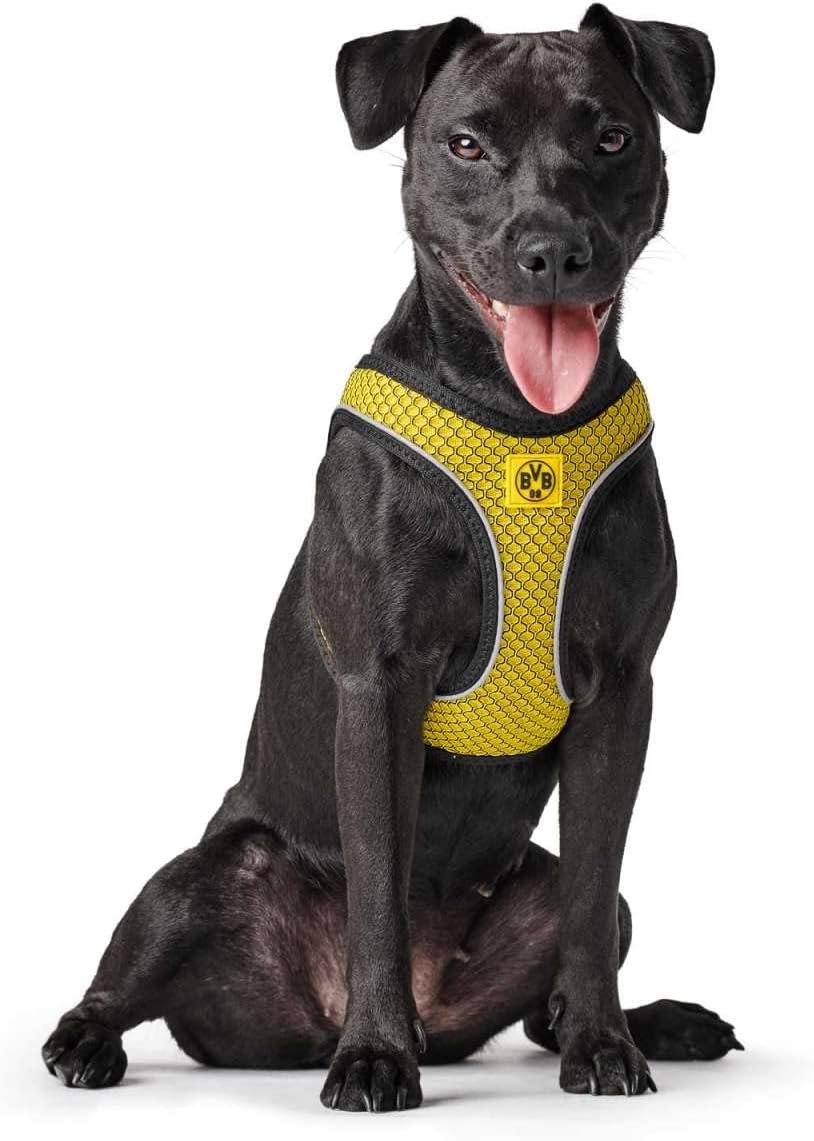 BVB Hundegeschirr, gelb, 58 - 65 cm