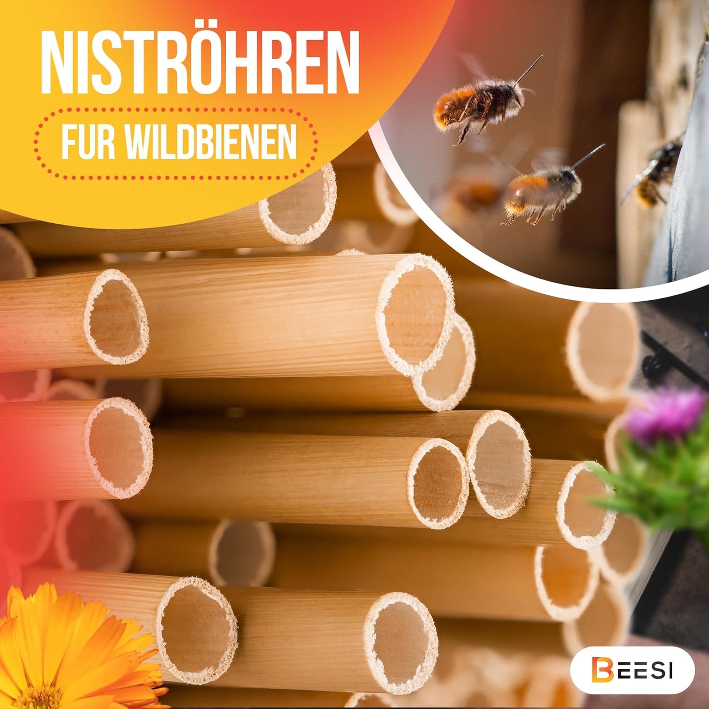 Bambusrohre für Insektenhotel