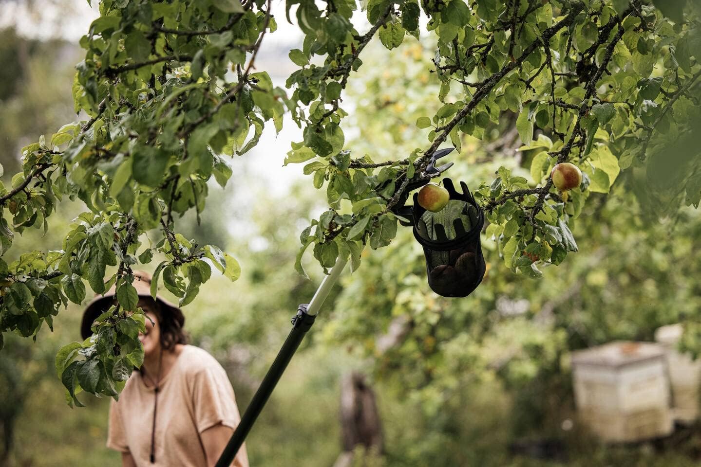 Obstpflücker Gerätekopf für Schneidgiraffe, Obstpflücker UPX82/UPX86, UP82/UP84/UP86