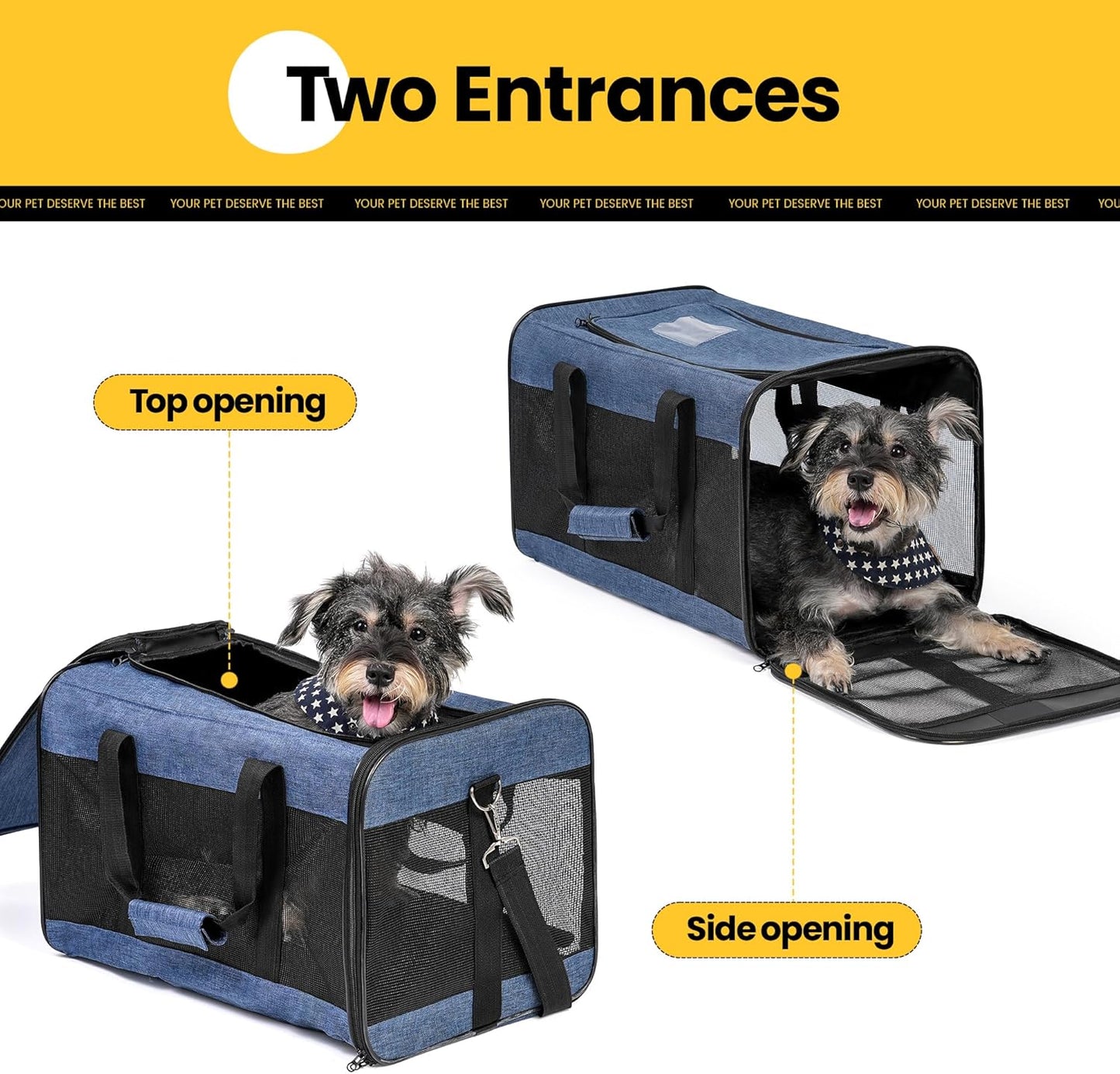 Faltbare Hundetransportbox, Gross Blau
