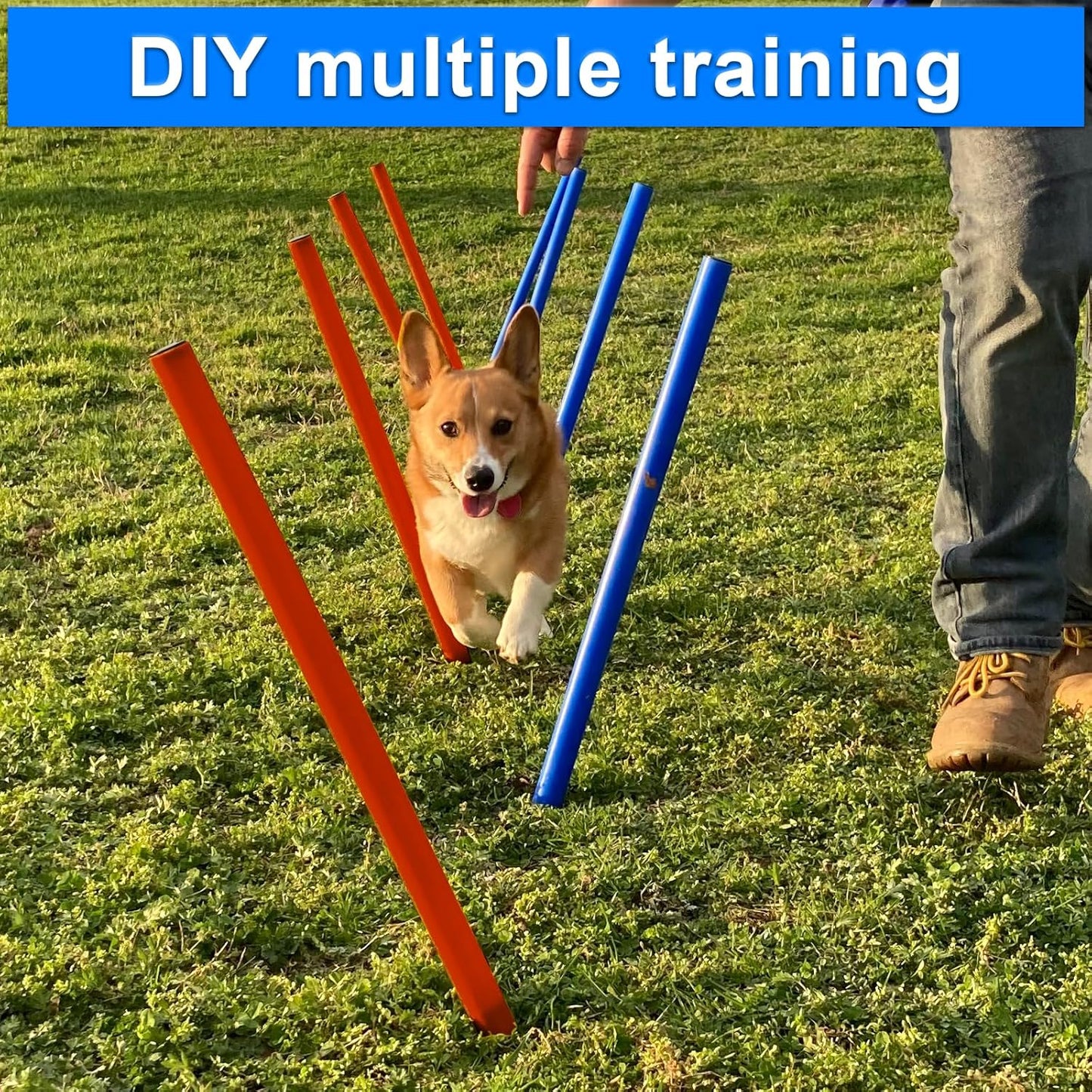 7-teiliges Agility Set mit Tunnel und Hürden