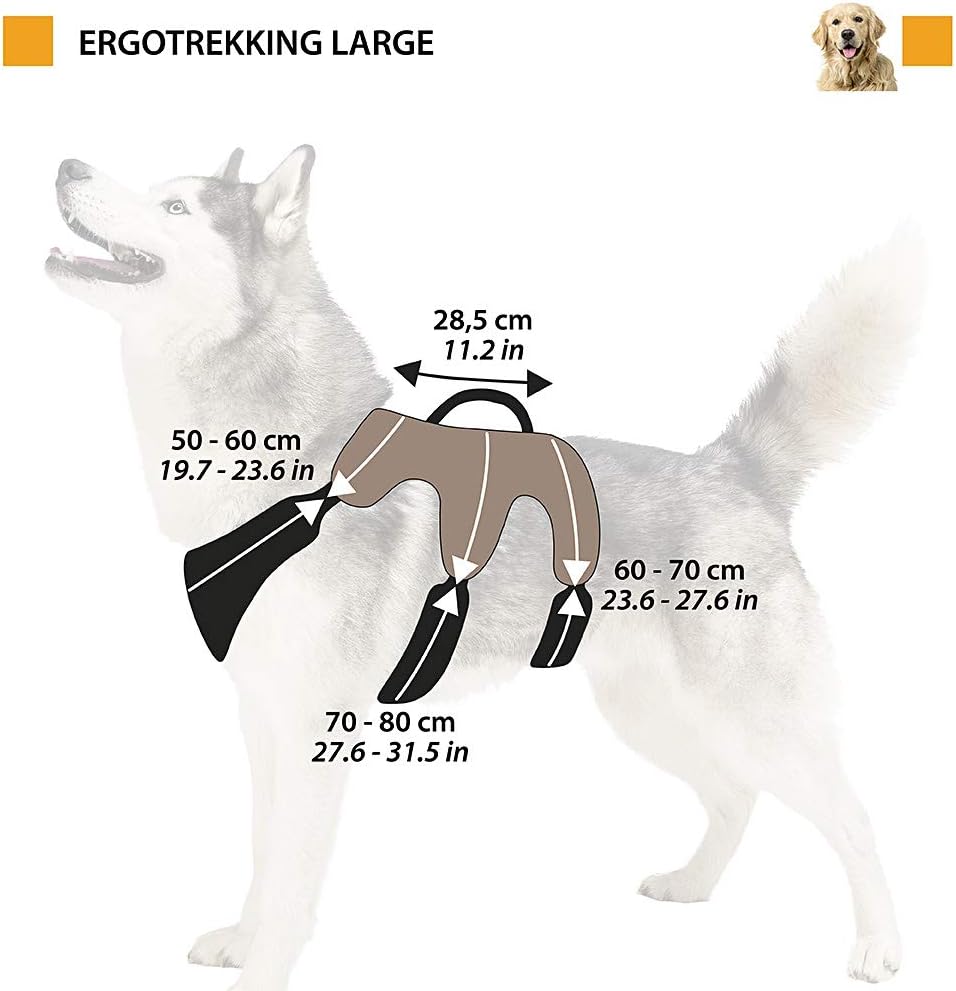 Hundegeschirr, Braun, Large