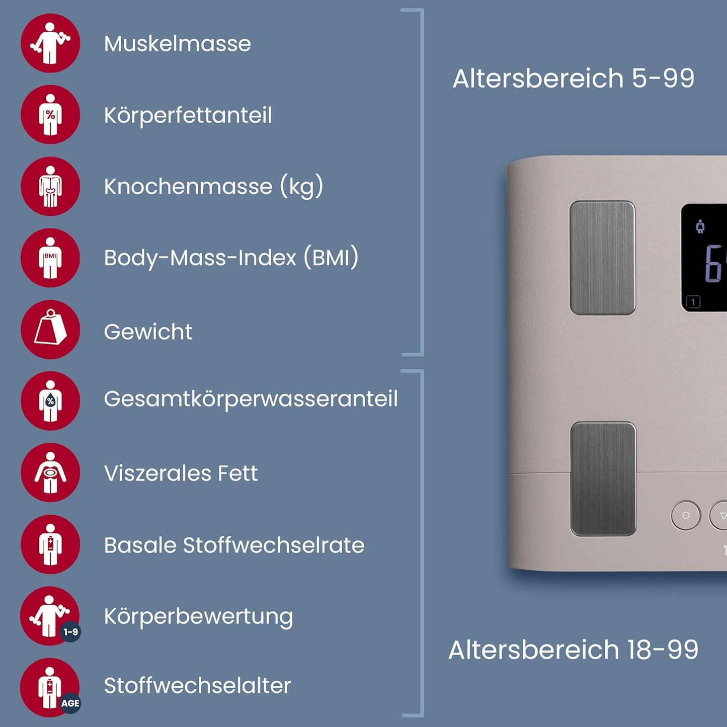 Körperanalysewaage BC-333LE