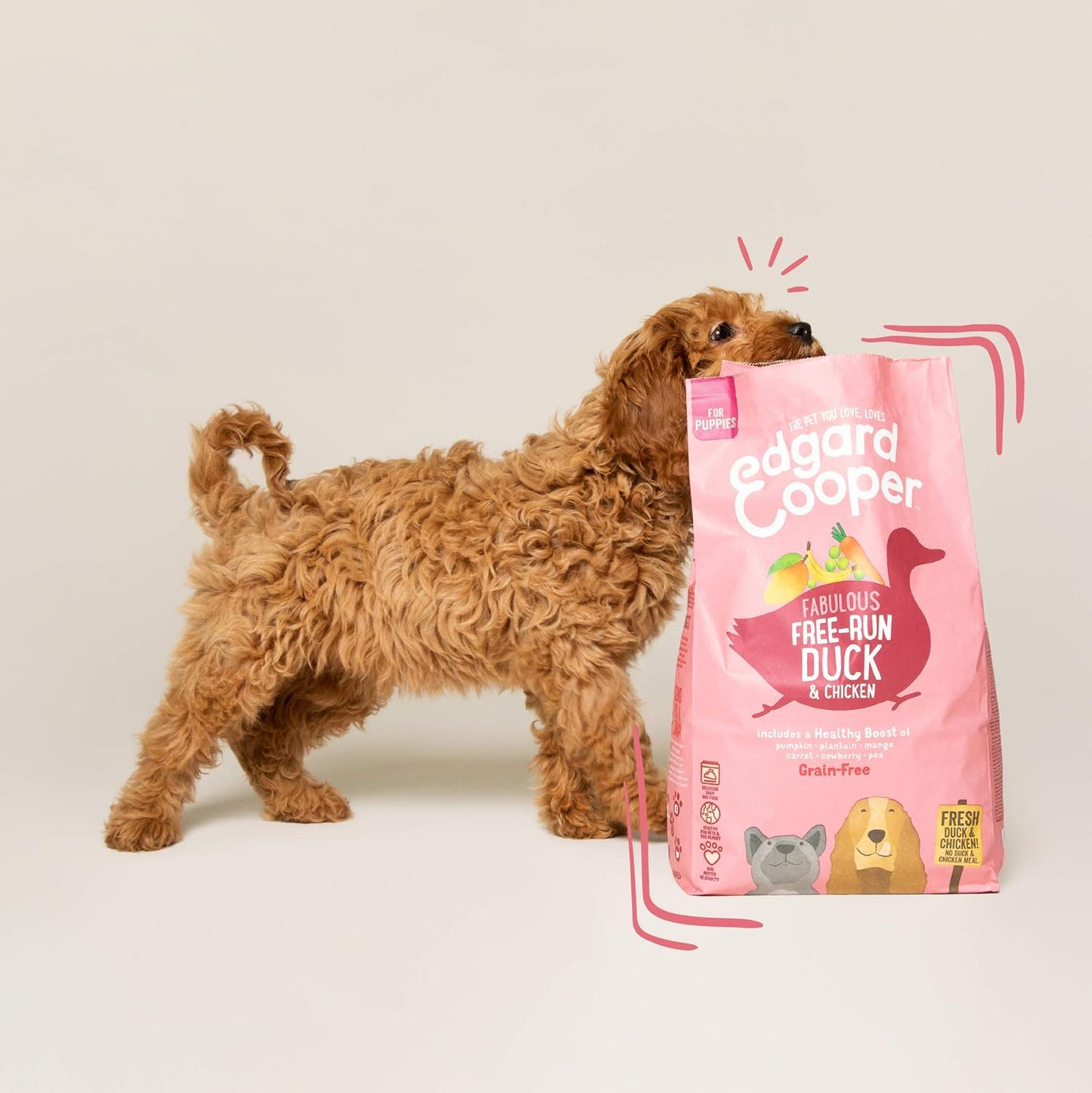 Hundefutter trocken, Welpe - Ente/Huhn 7 kg
