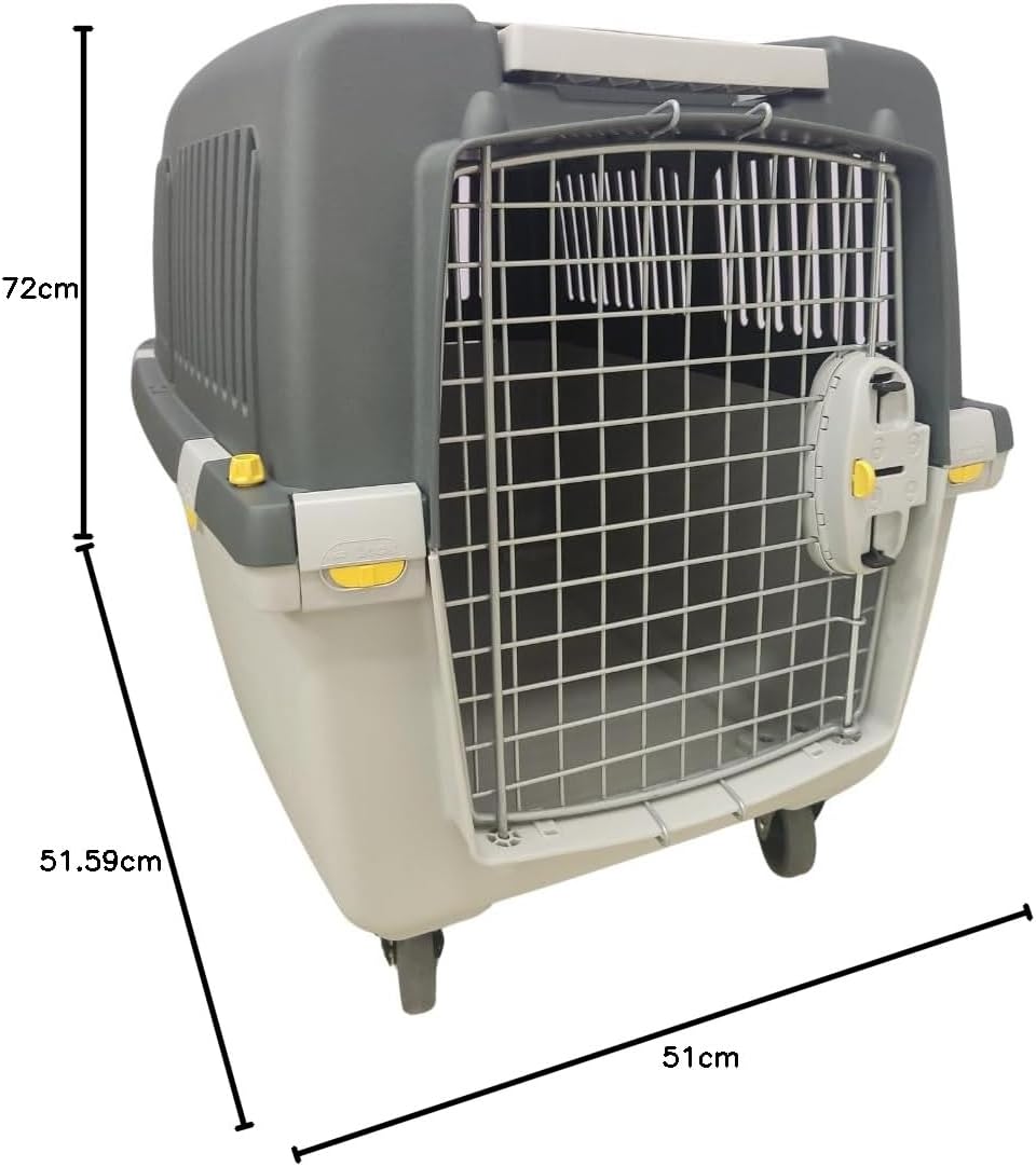 Transportbox Gulliver 4 IATA-konform, L 72 x B 52 x H 51 cm