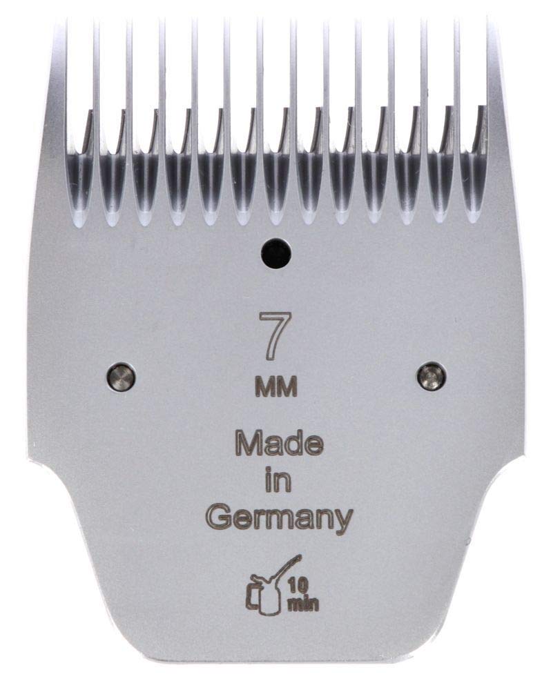 Scherkopf Favorita GT7707