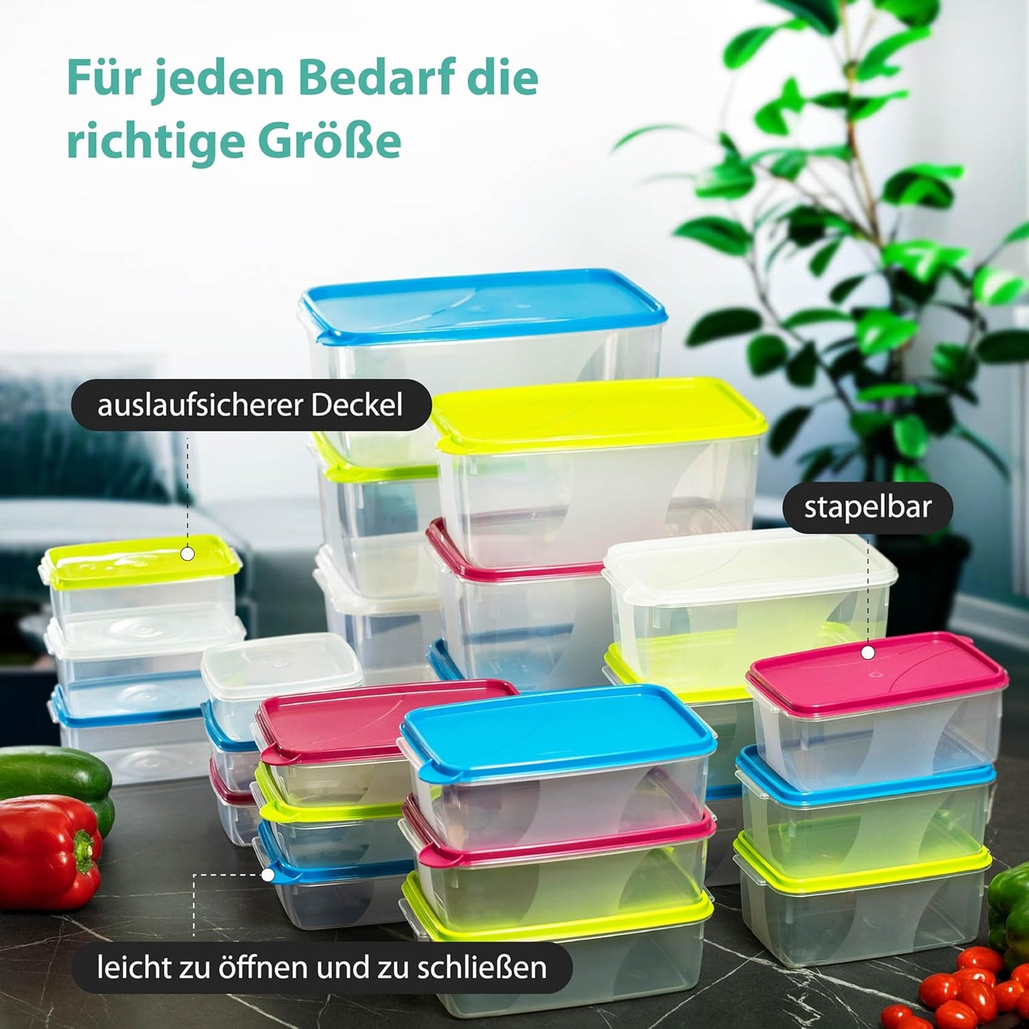 12er-Set Gefrierdosen (0,3L) für Mealprep, 0,3l Rechteckig Flach (12 Stk)