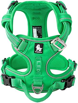 Truelove reflektierendes Hundegeschirr, M Grass Green