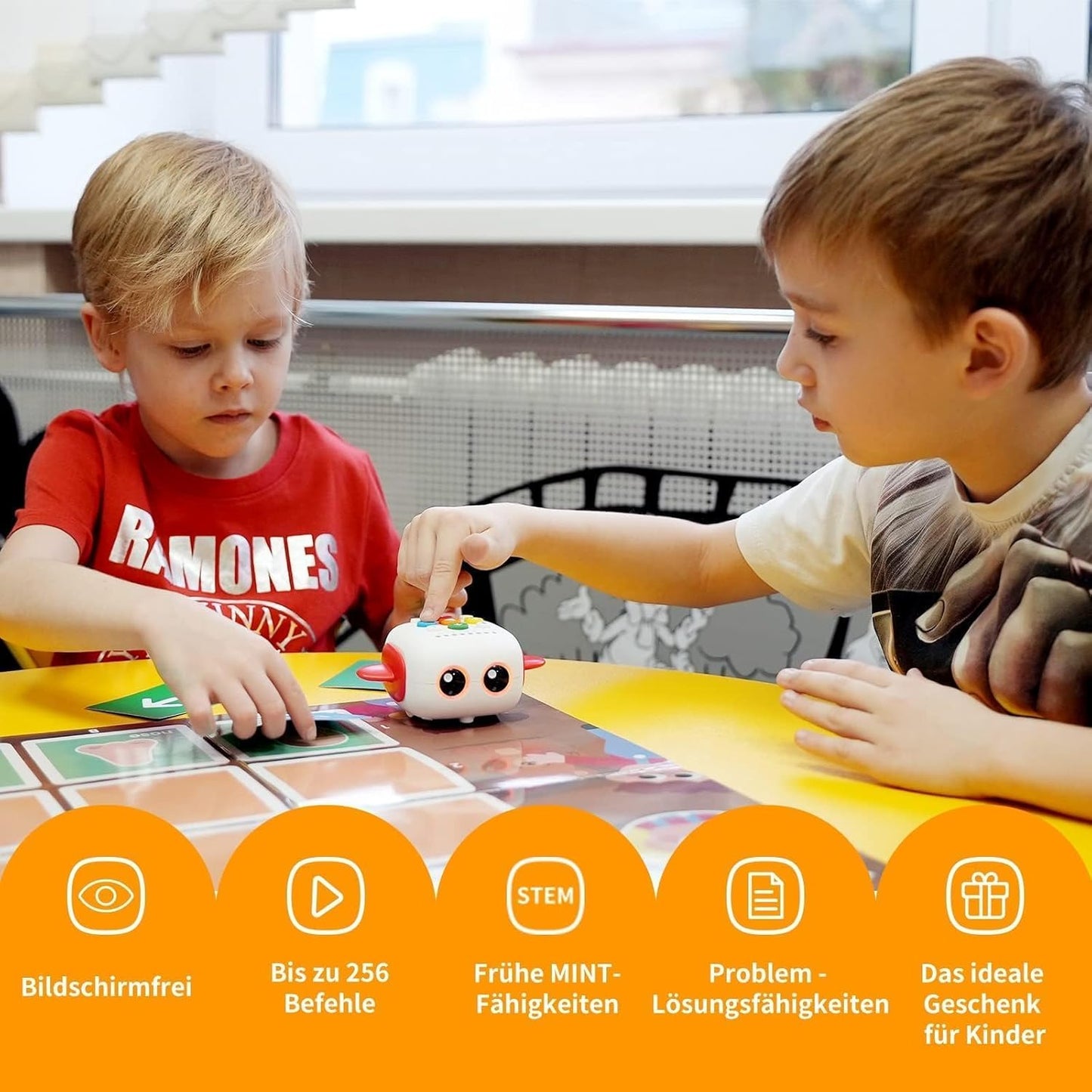 Tale-Bot Pro Klassenzimmer-Set, Tale-Bot Pro Classroom Set