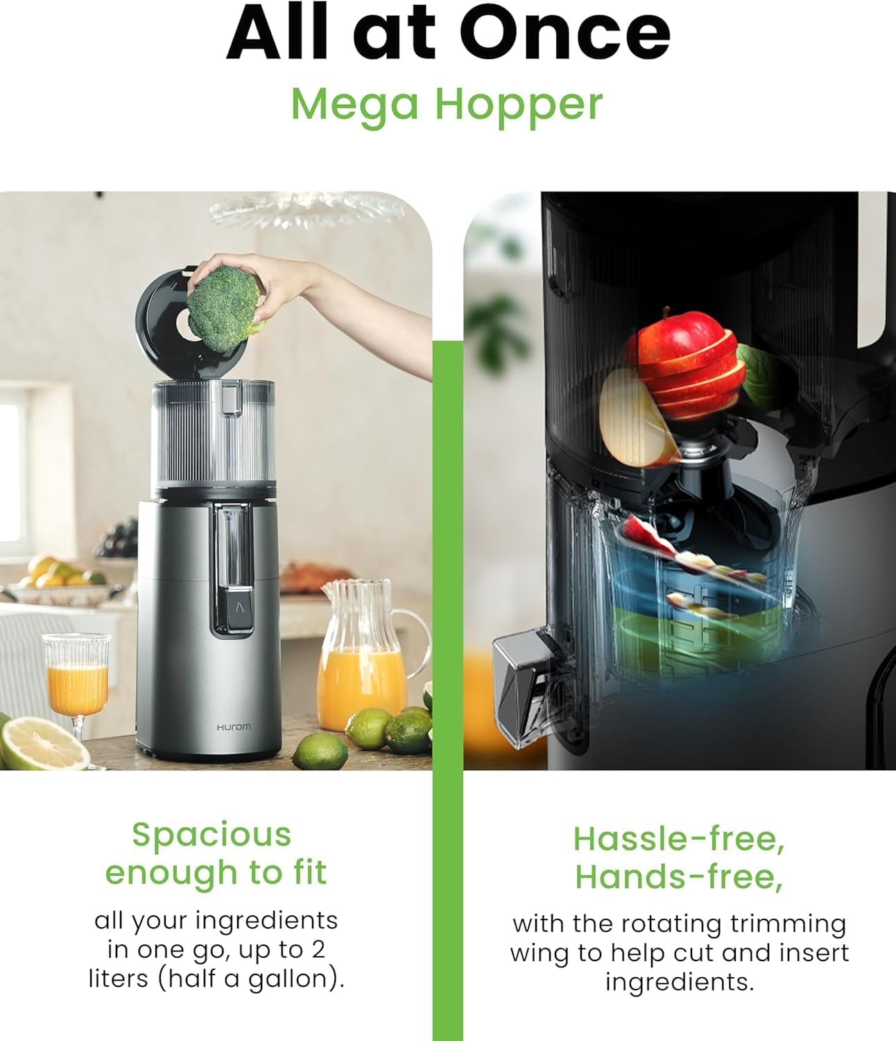 Slow Juicer H400, Grau