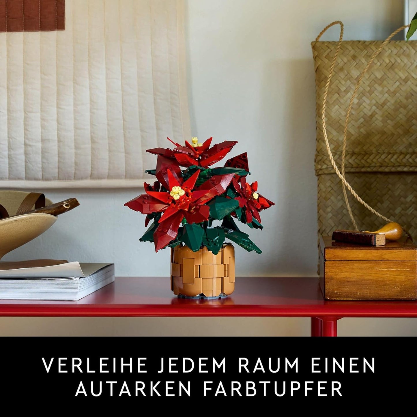 Weihnachtsstern