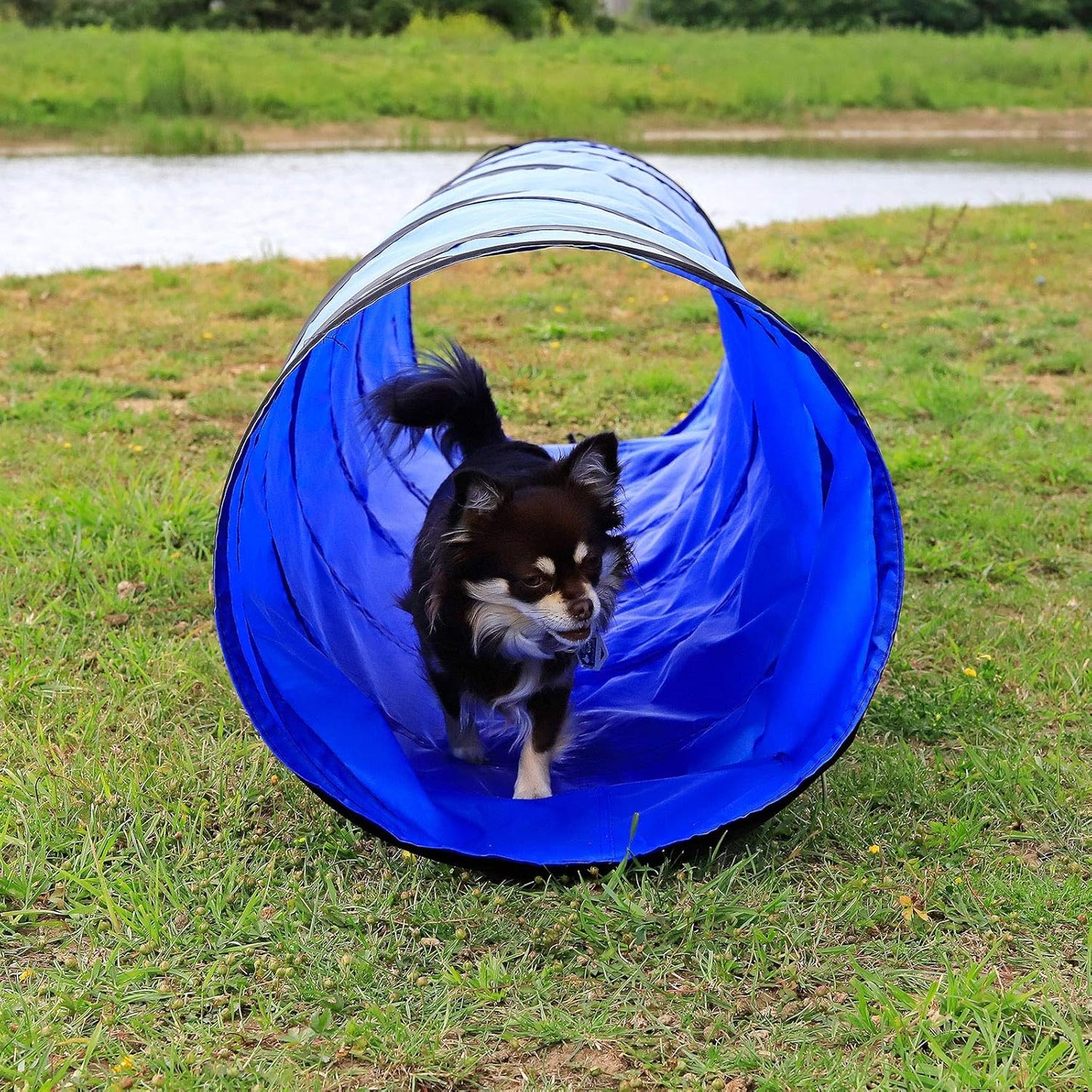 Agility-Tunnel, Blau (S) 200x40 cm