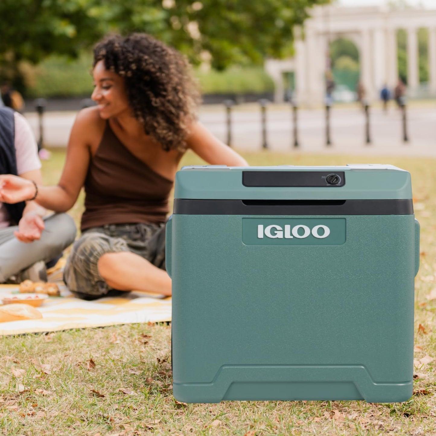 Elektrische Kühlbox IE42 mit Rollen und Teleskopgriff, 12/230V 42 L Grün