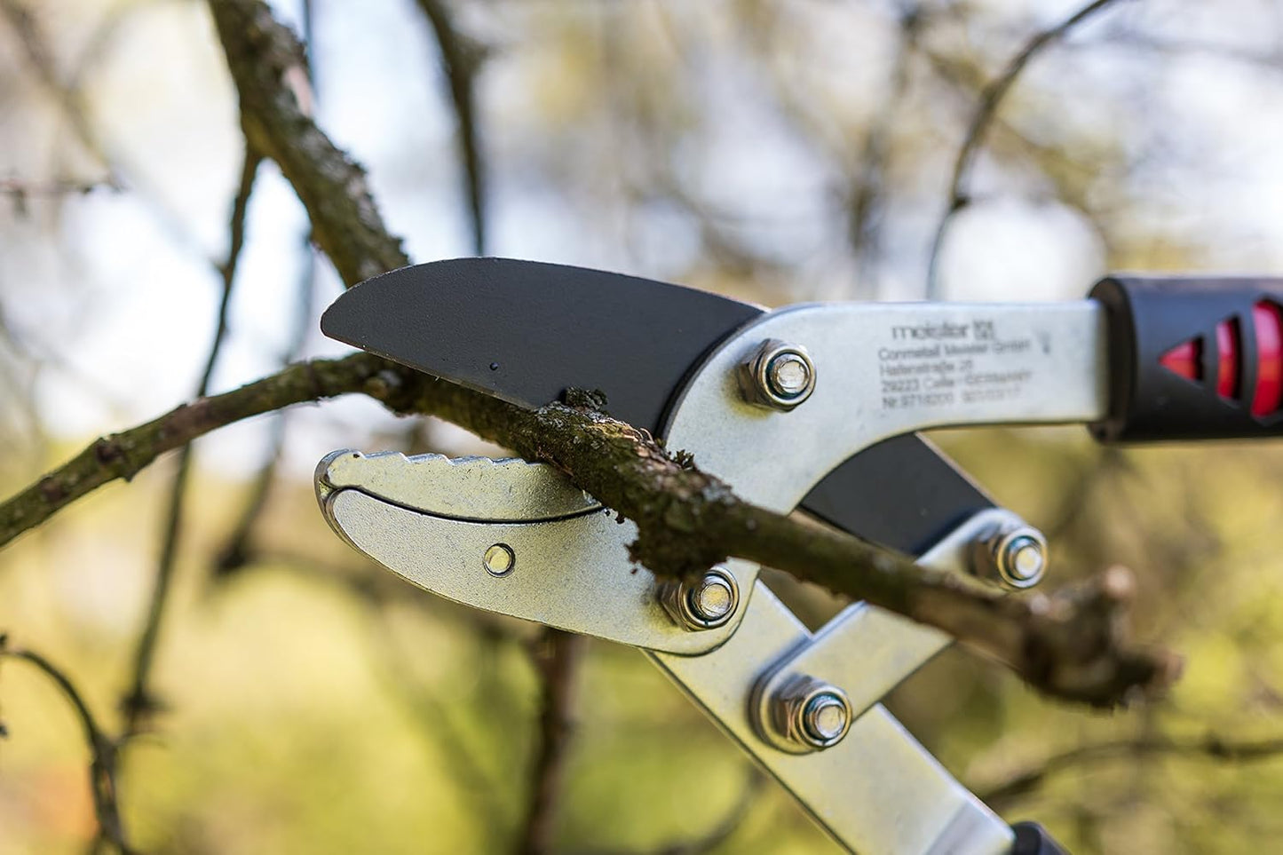 Astschere mit Amboss-Klinge, Amboss