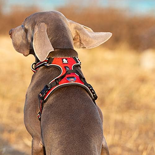 Truelove No Pull Hundegeschirr TLH56512, reflektierend, verstellbar, L Red