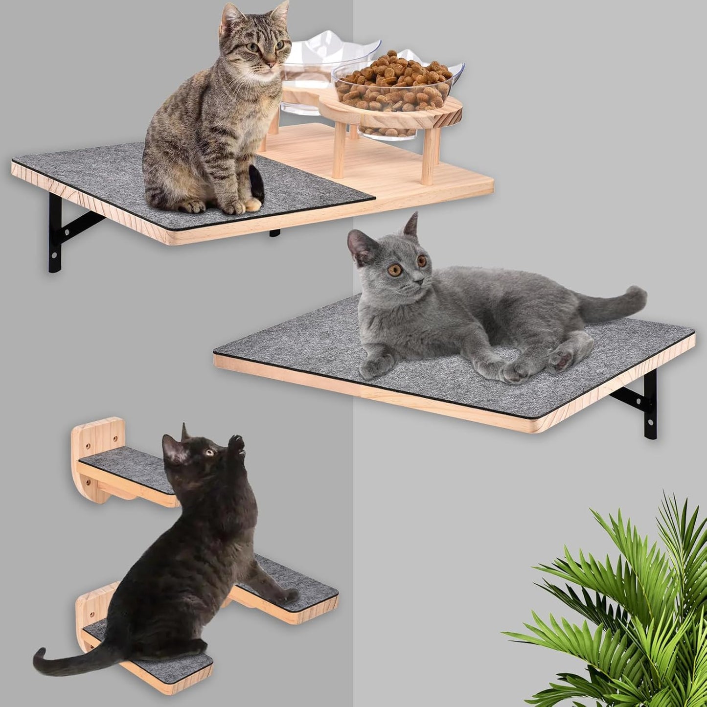 Katzenwand-Set mit Hängematte und Futterschalen