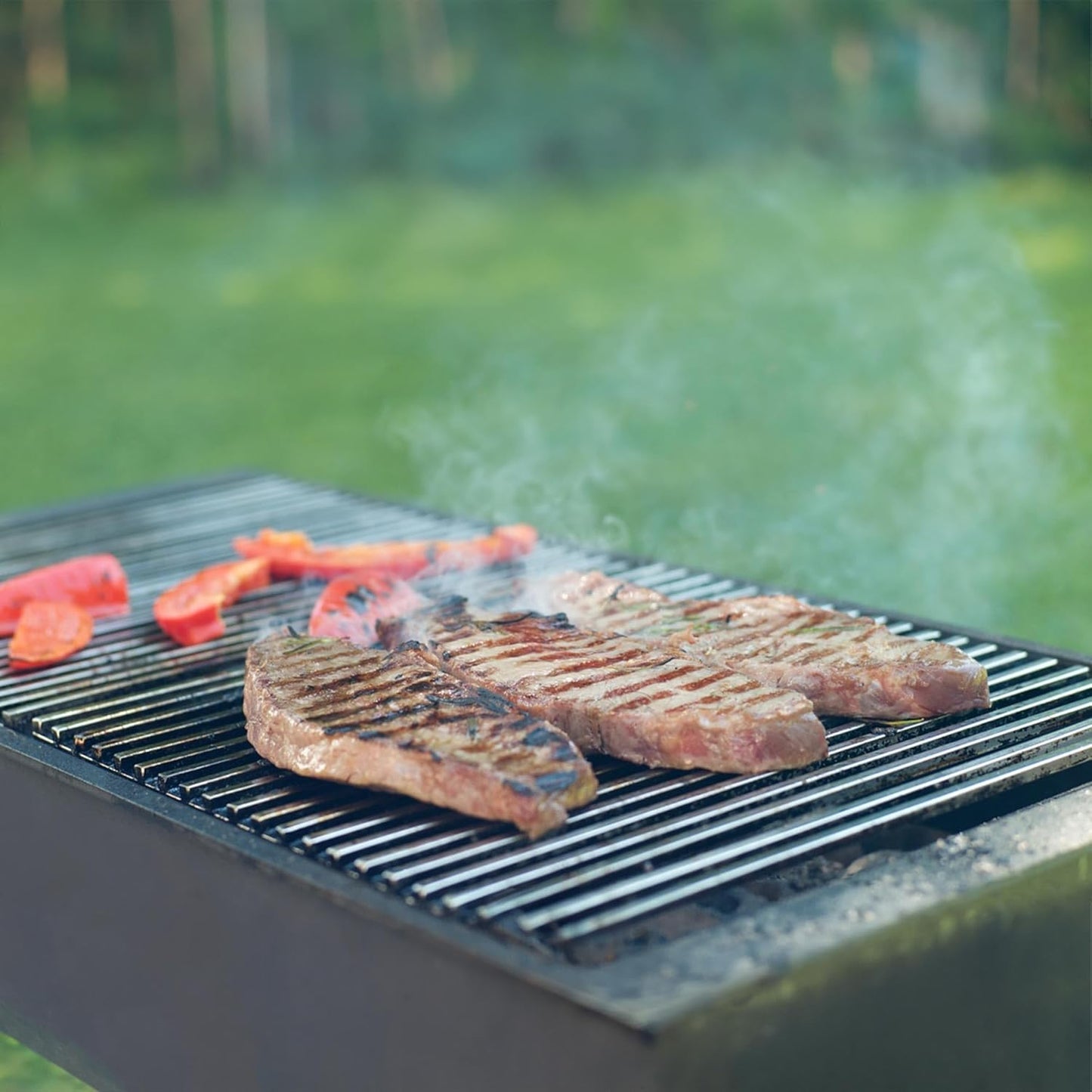 Grillrost mit abnehmbarem Griff, 67 x 40 cm mit Griffen