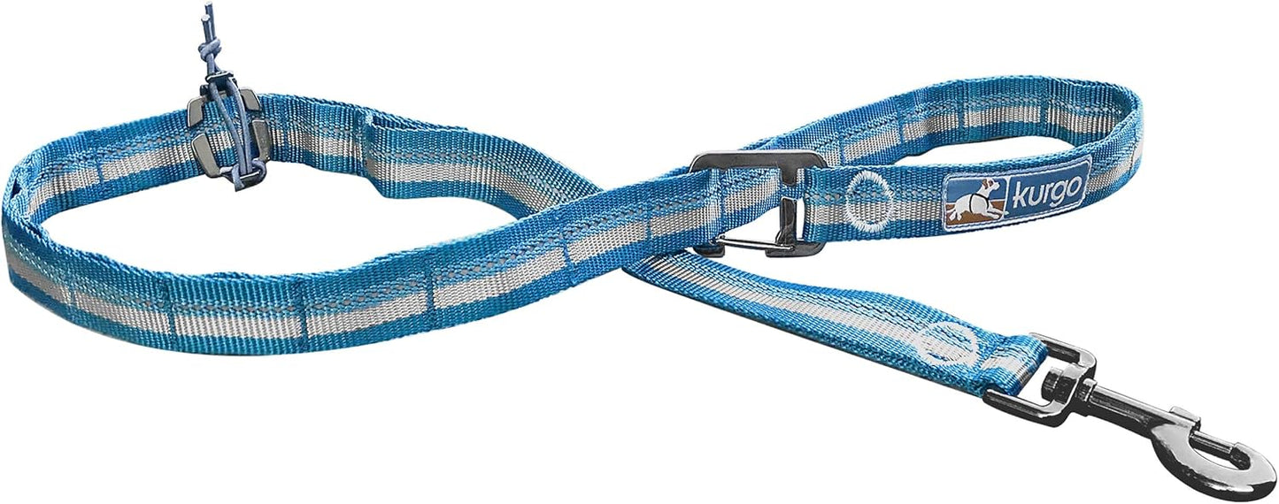 RSG Stub - Hundeleine mit einstellbarer Länge, reflektierend, 122 cm, Leine Einheitsgrösse