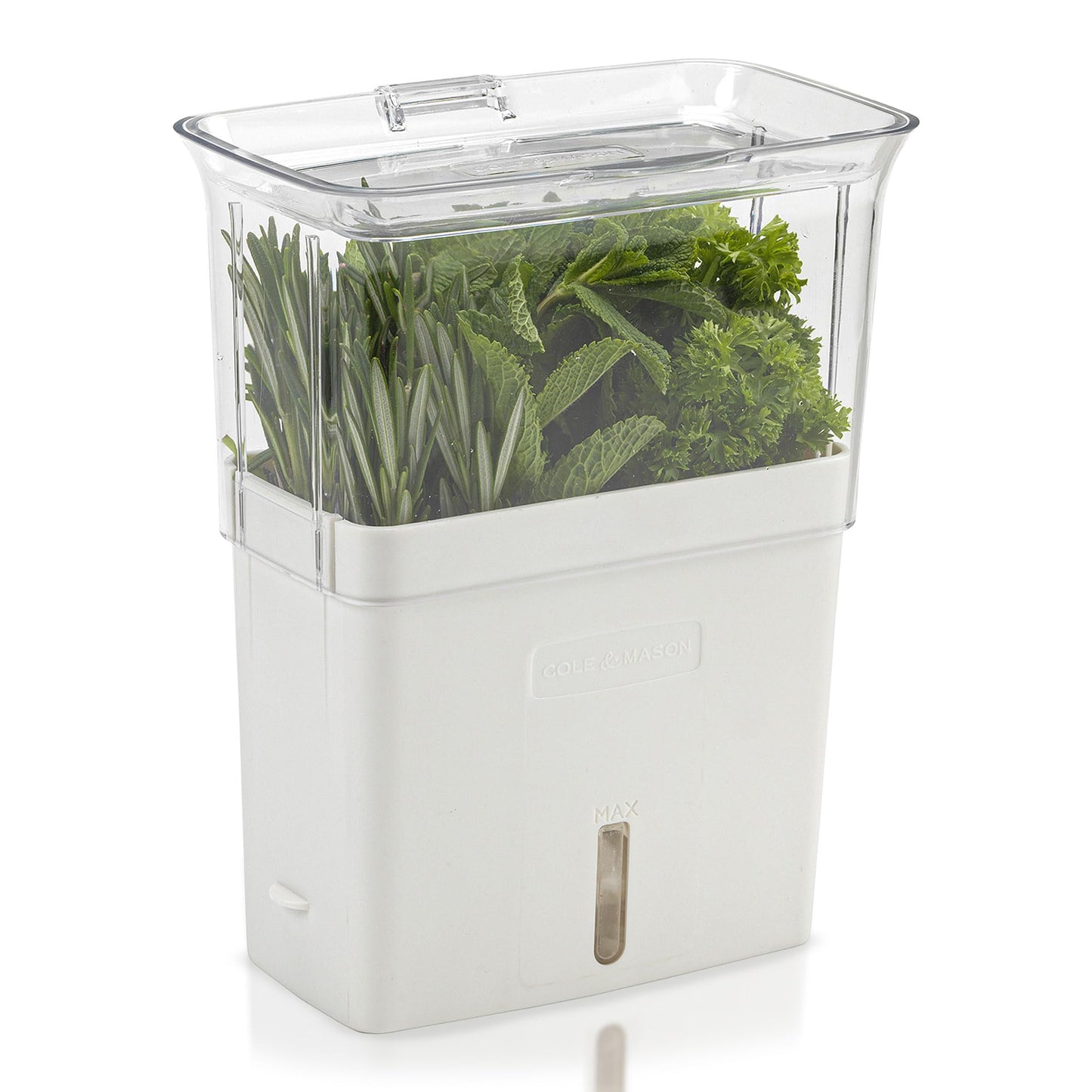 Kräutertopf für frische Kräuter, Schnittkräuterbox
