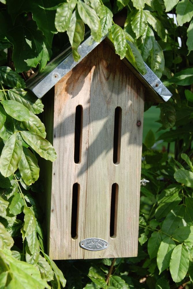 Schmetterlings-Nistkasten mit Blechdach
