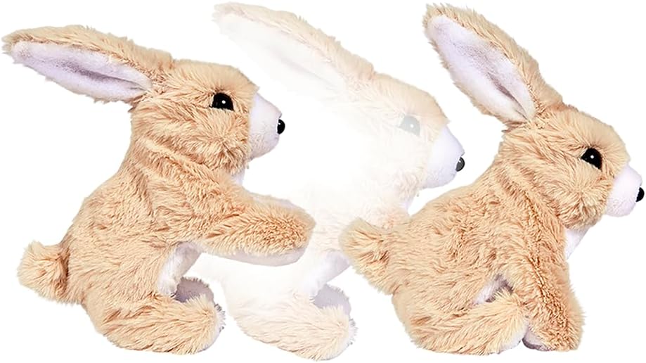 CCL Rabbit