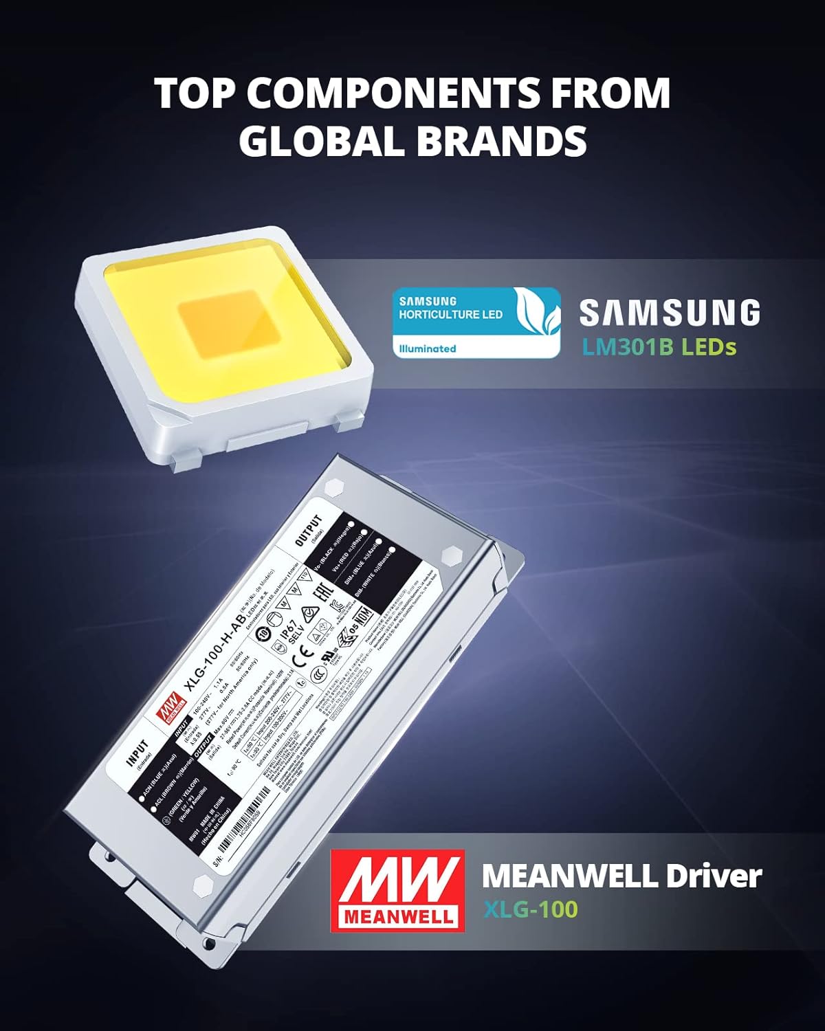 XS1000, Dimmable XS1000