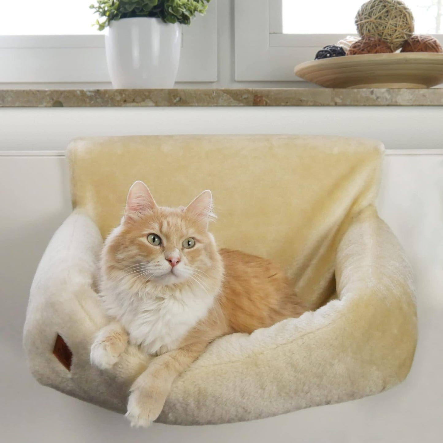 Katzenbett