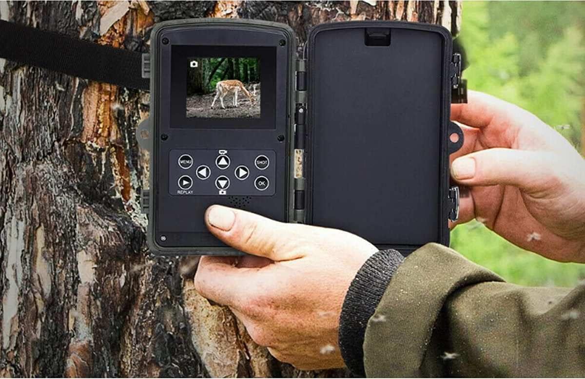 Wildkamera Black 550
