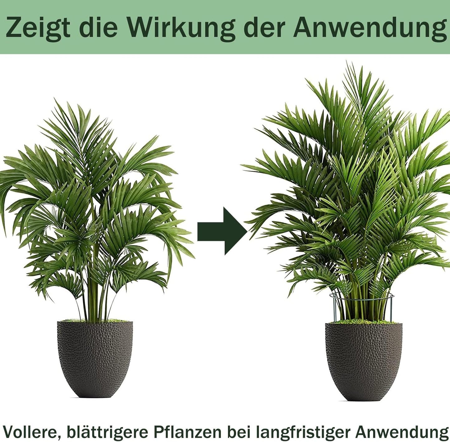 Pflanzenstützen-Set, 45*25cm(10pcs)