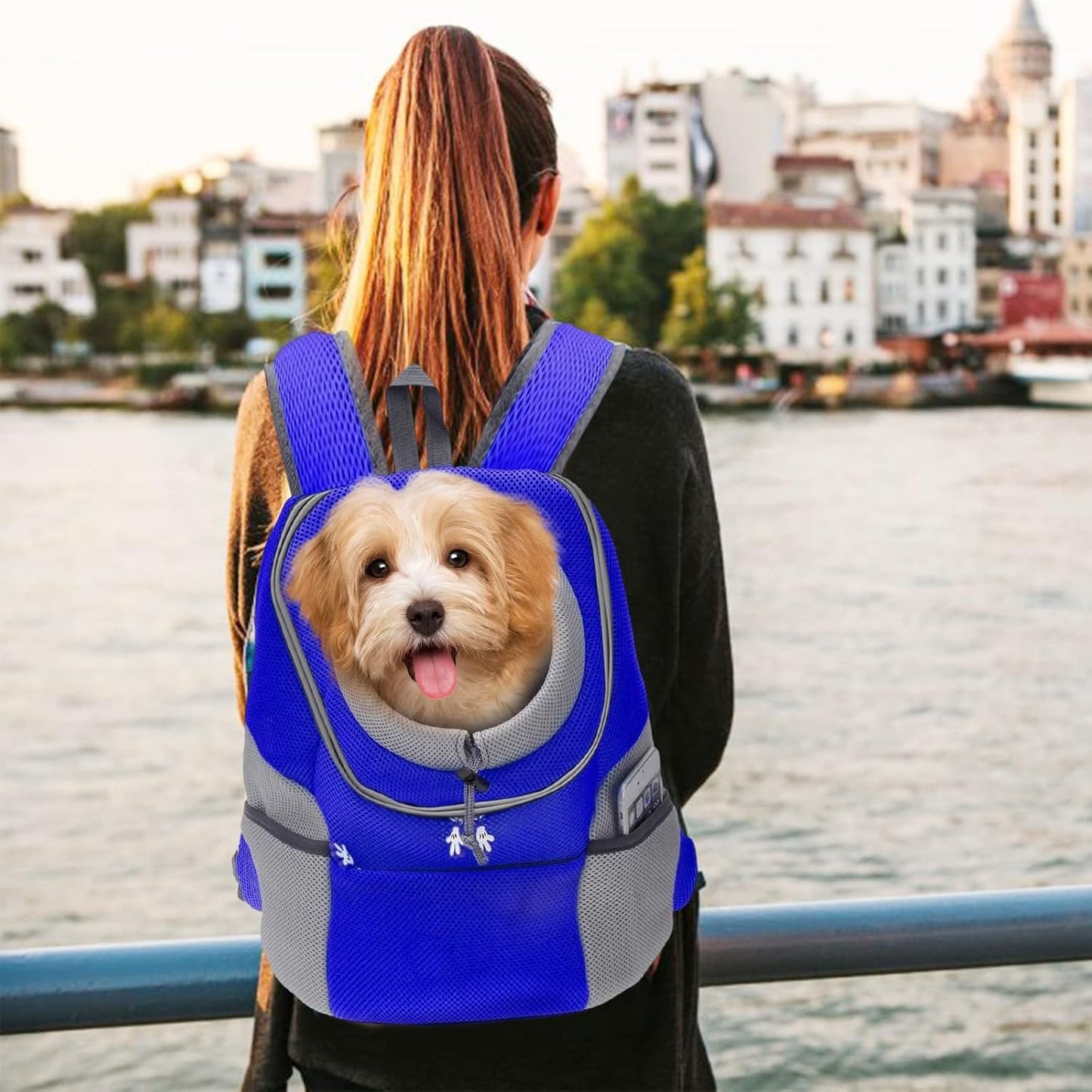 Haustierrucksack Head-Out-Design (bis 4,5 kg), L 38 x B 20 x H 42 cm, Blau