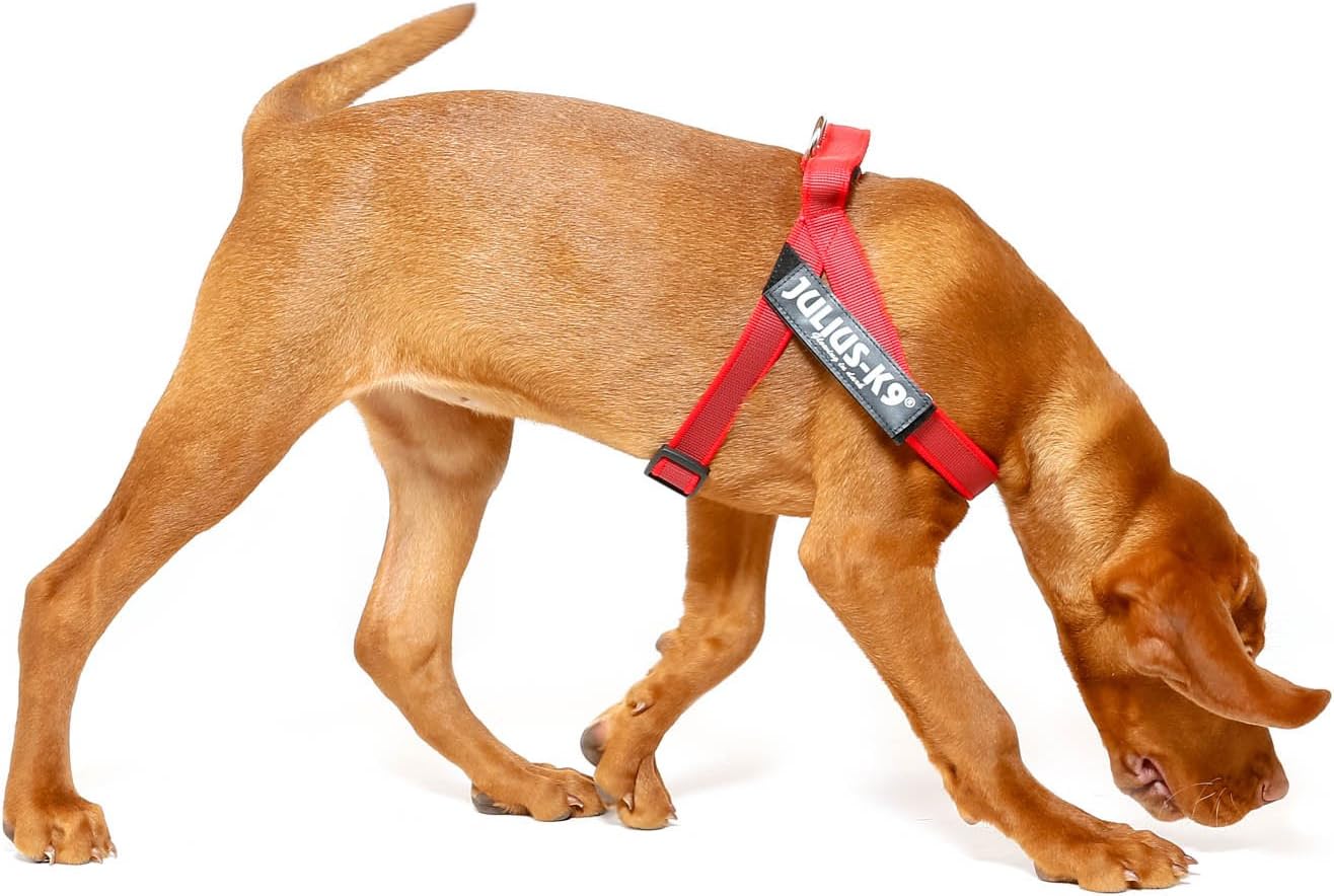 Hundegeschirr, XS / Mini-Mini rot-grau
