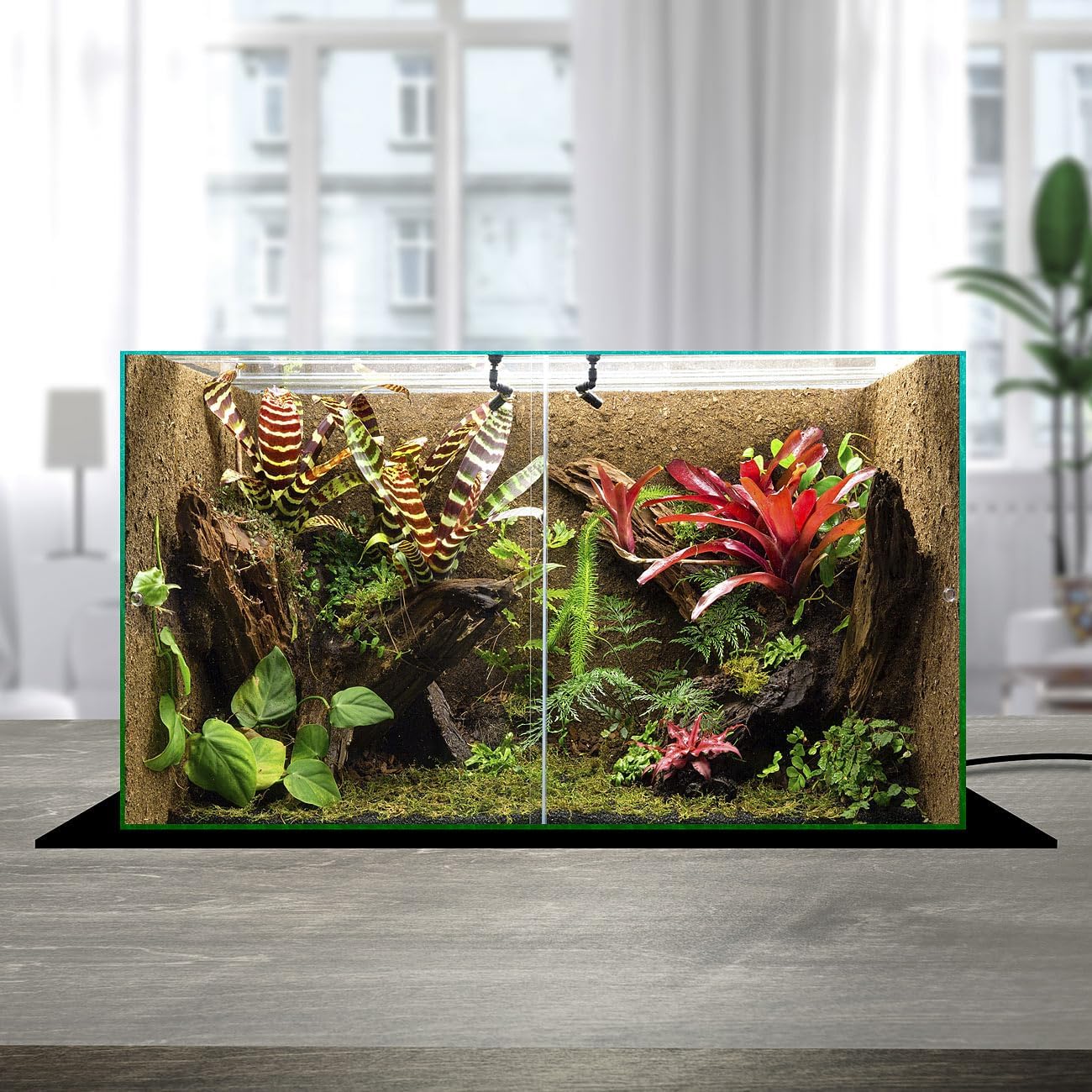 Heizmatte für Pflanzenanzucht & Terrarien, Grösse L