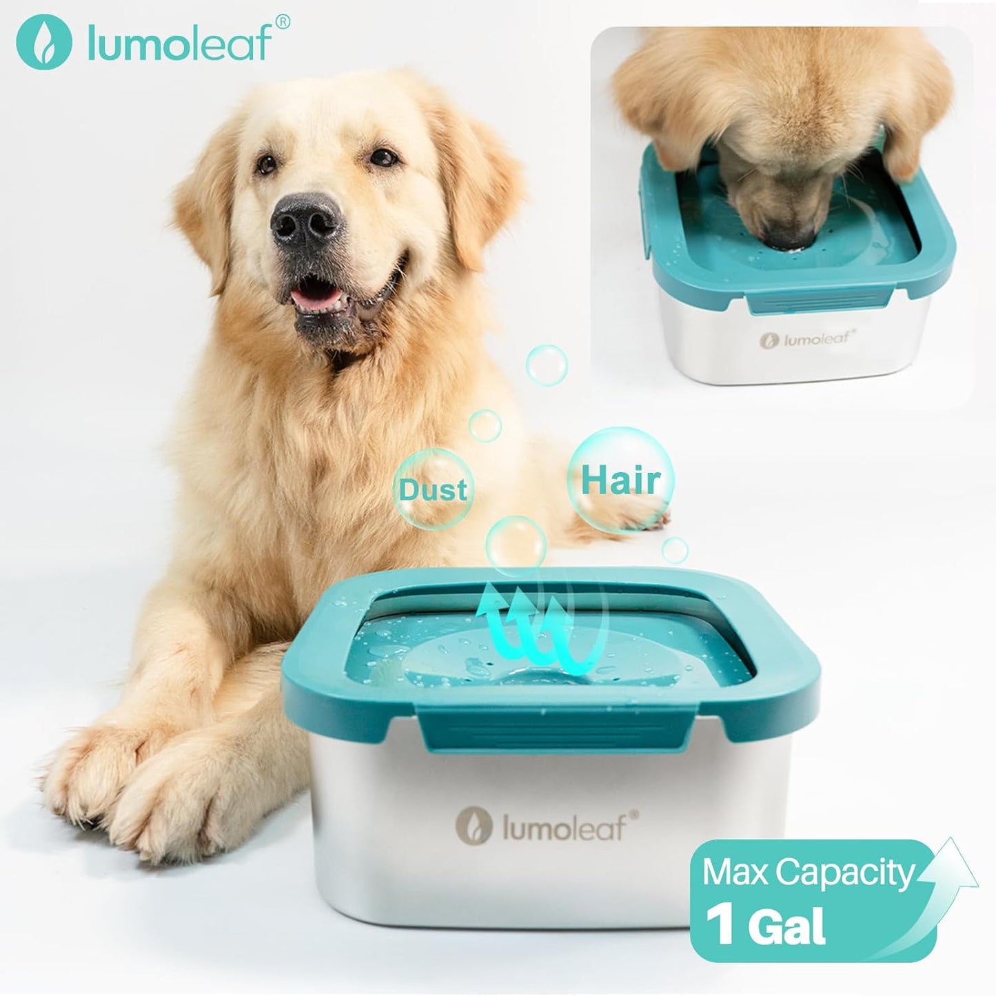 Wassernapf für Hunde, auslaufsicherer Edelstahl 4L, 4L Blau