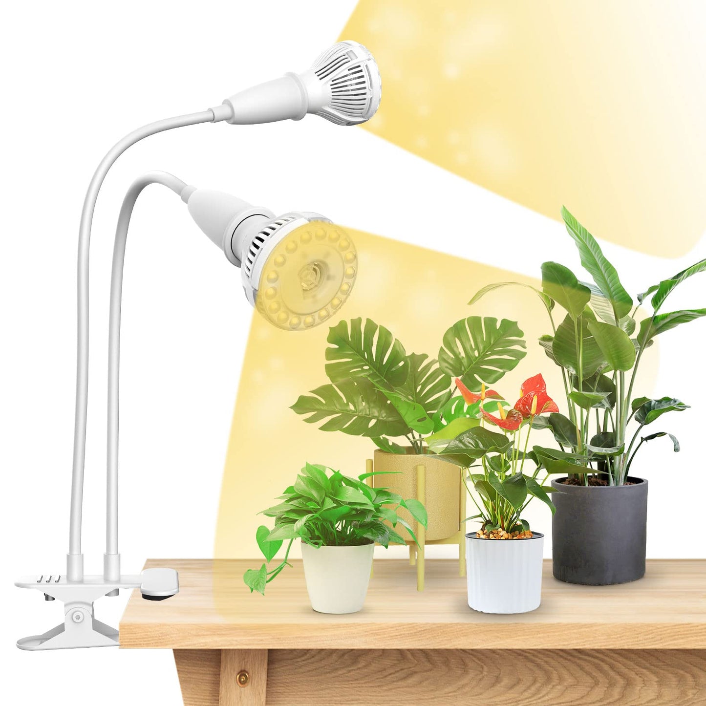 Doppelkopf LED Pflanzenlampe mit Schwanenhals, Weiss 2-Kopf Clip-on