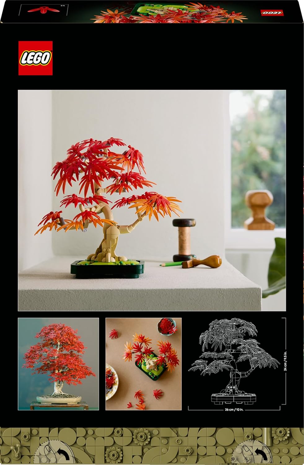 Japanischer Roter Ahorn - Bonsai-Baum