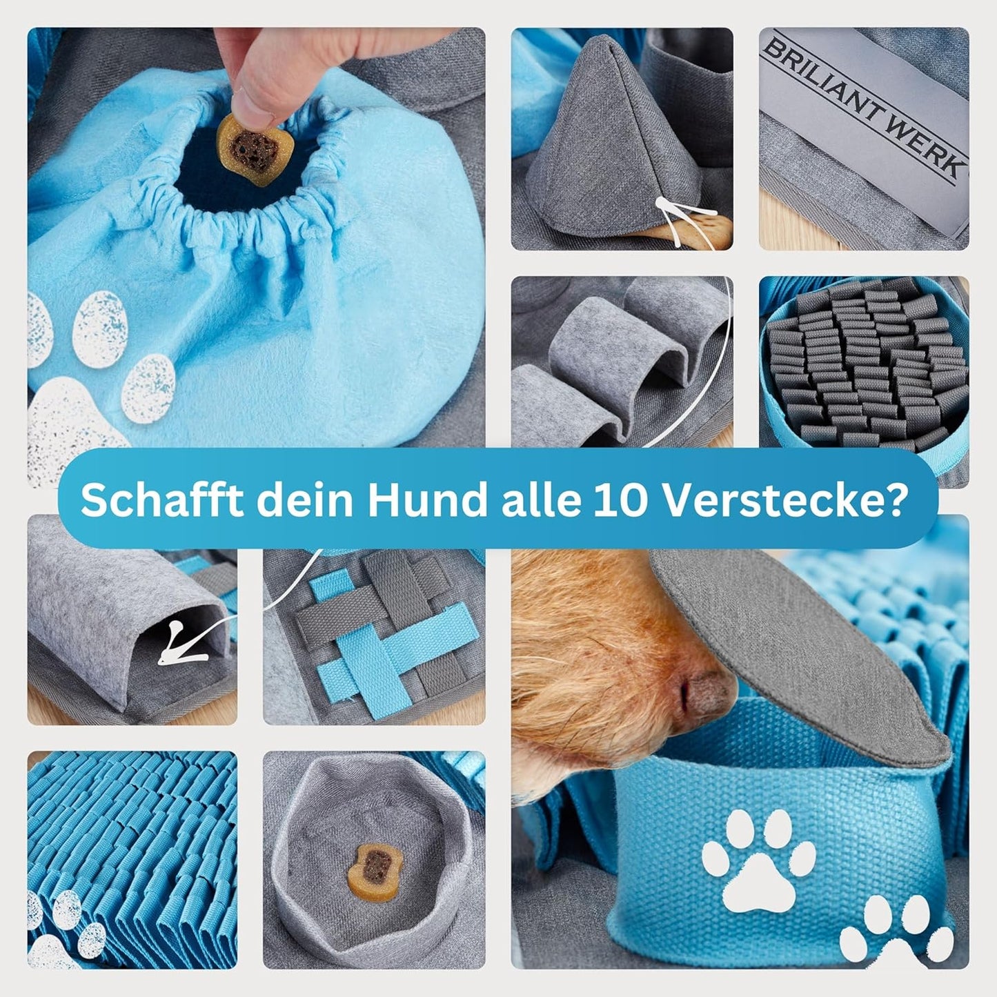 Schnüffelteppich mit 10 Trainingselementen und 3 Schwierigkeitsstufen, gross Blau