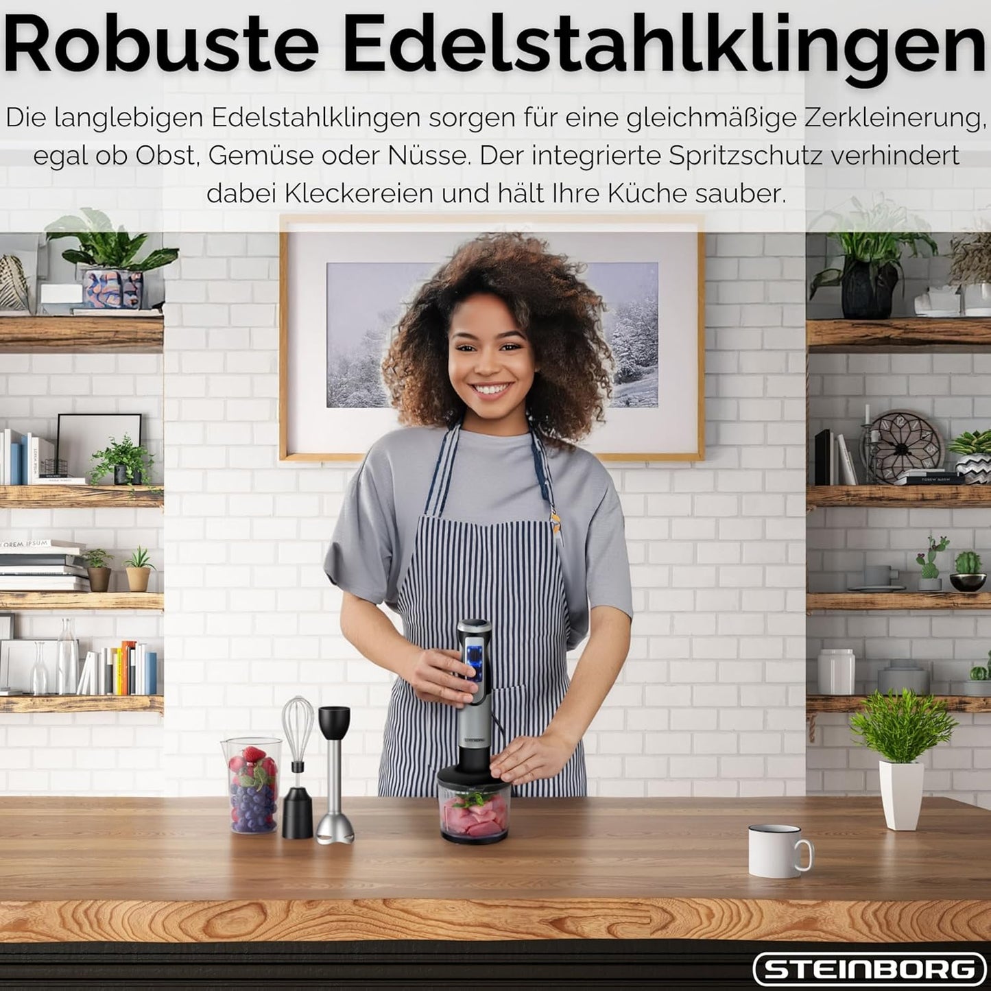 Stabmixer Set