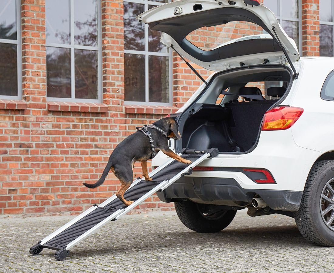 Teleskop-Hunderampe für Auto