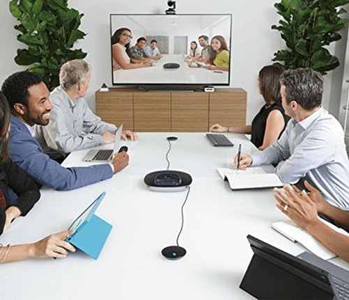 Erweiterungs-Mikrofone für Videokonferenzen (2 Stück)