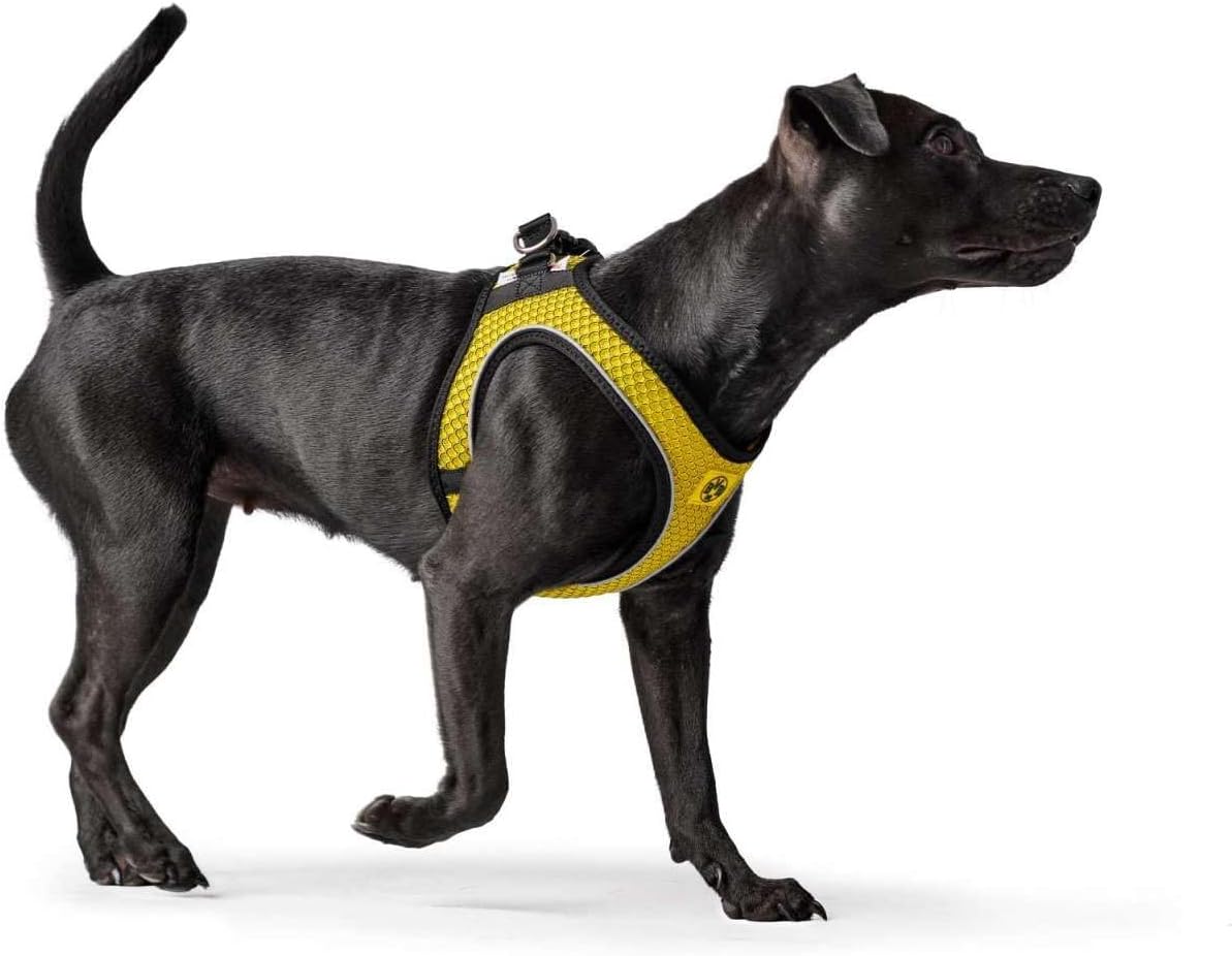 HILO COMFORT BVB Hundegeschirr, gelb 65 - 70 cm