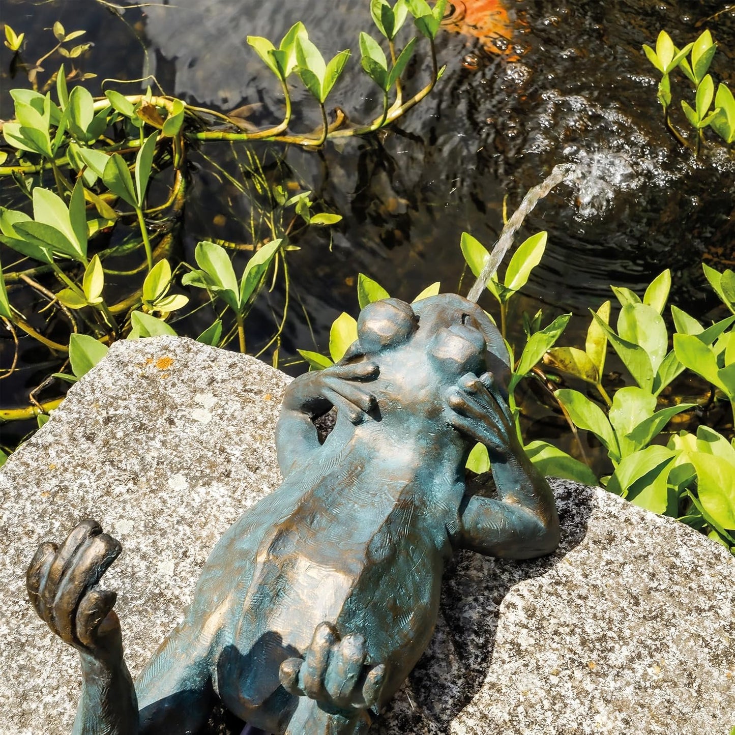 Solar-Wasserspeier Frosch