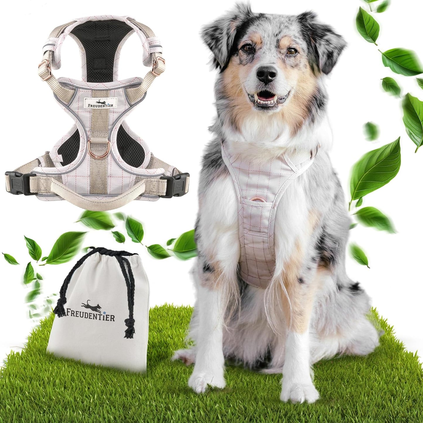 Clyde Hundegeschirr, S