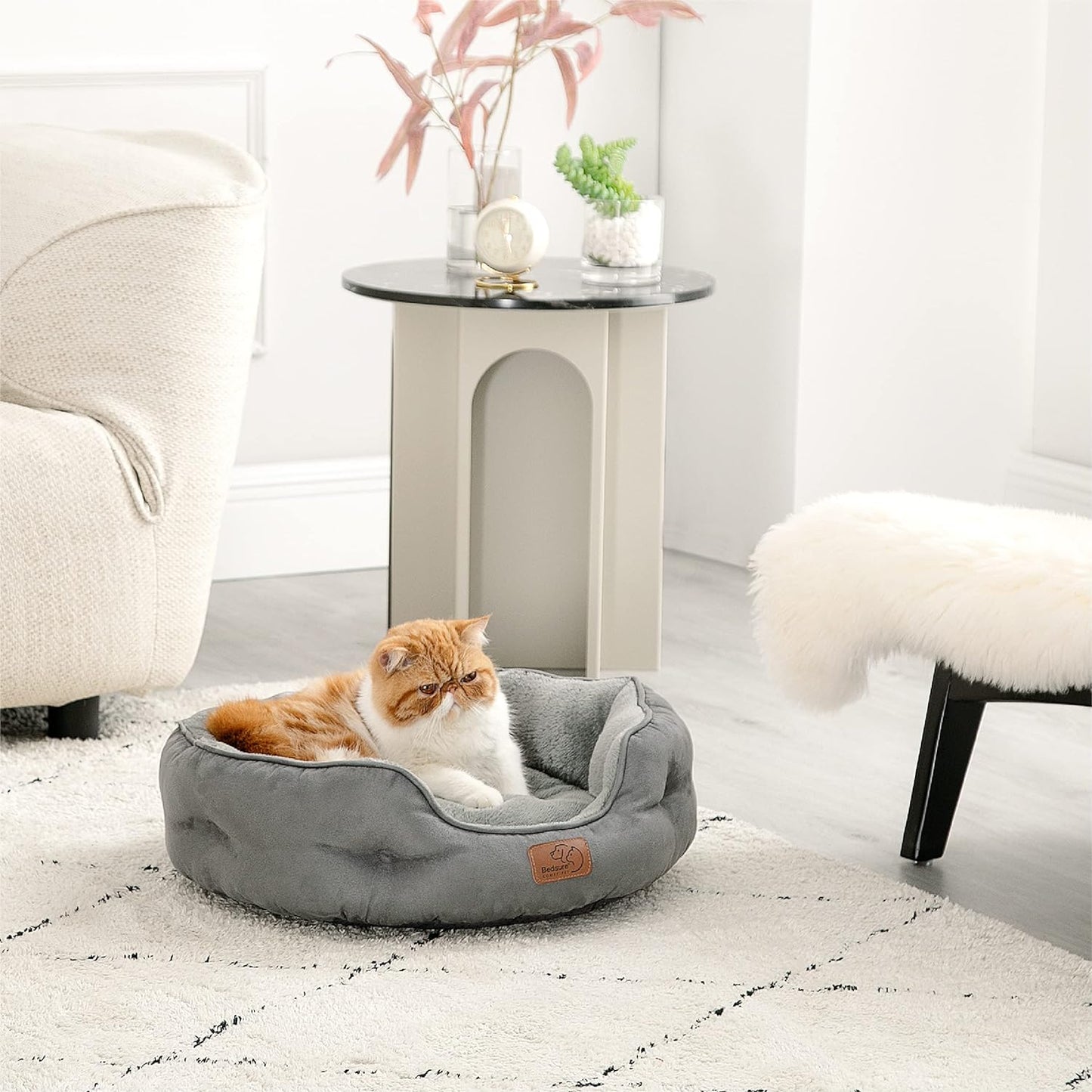 Katzenbett, L 51 x B 48 x H 15 cm Grau