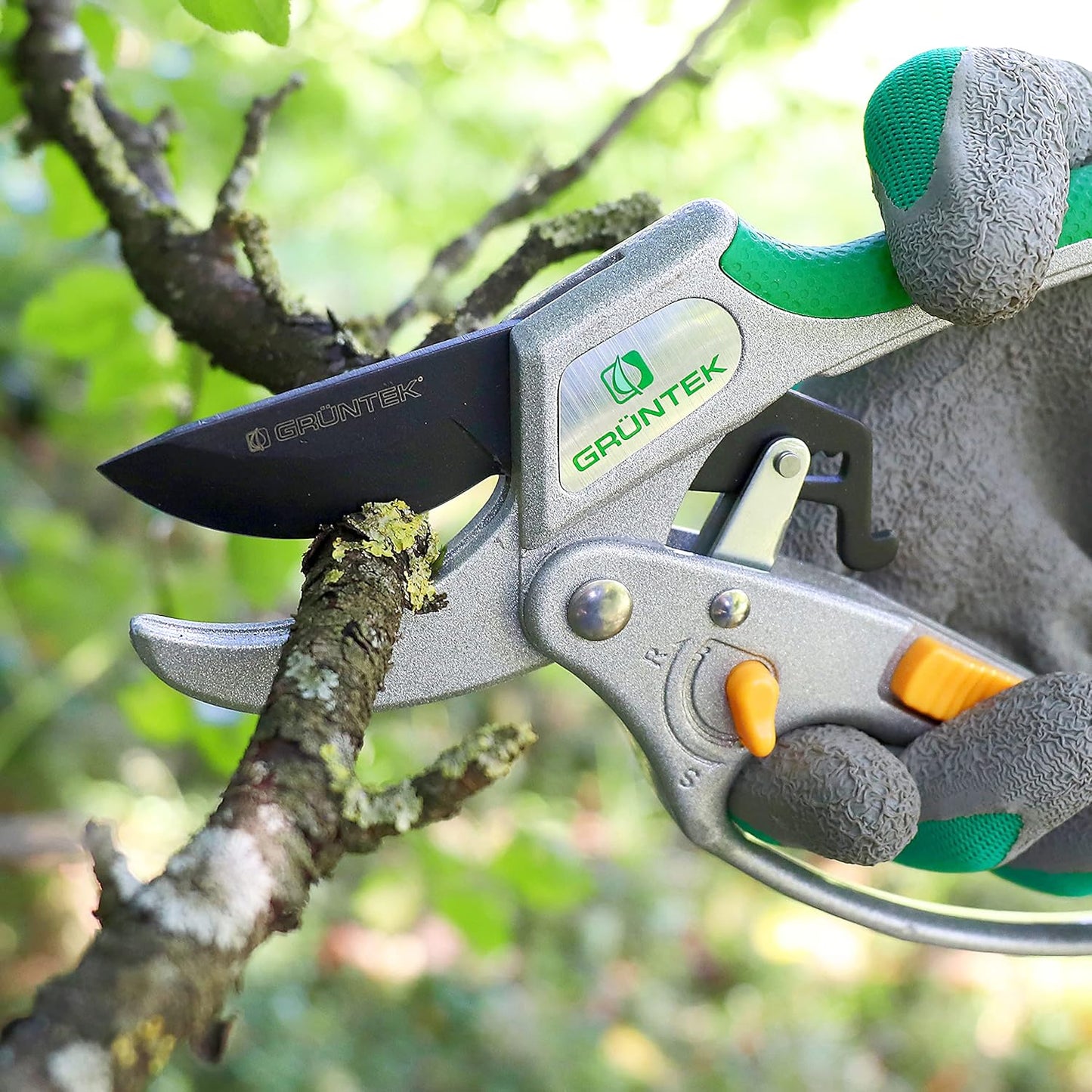 Ratschen-Gartenschere, Modern mit Umschalter vom Ratschenmechanismus