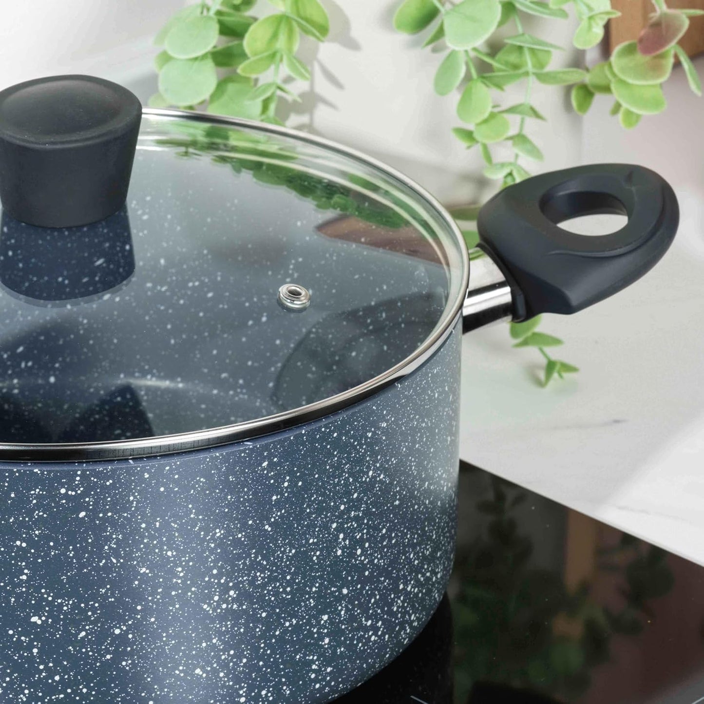 Induktionskochtopf mit Glasdeckel 24 cm (4,5 L), 24 cm Topf