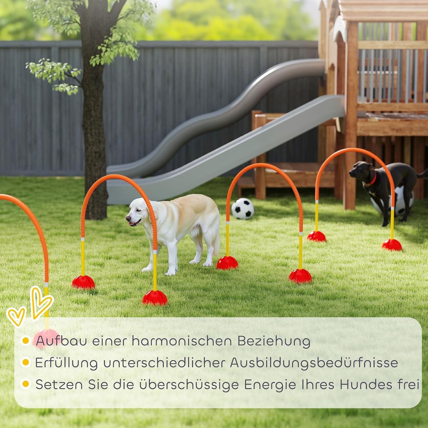 Agility Set, Orange+Gelb