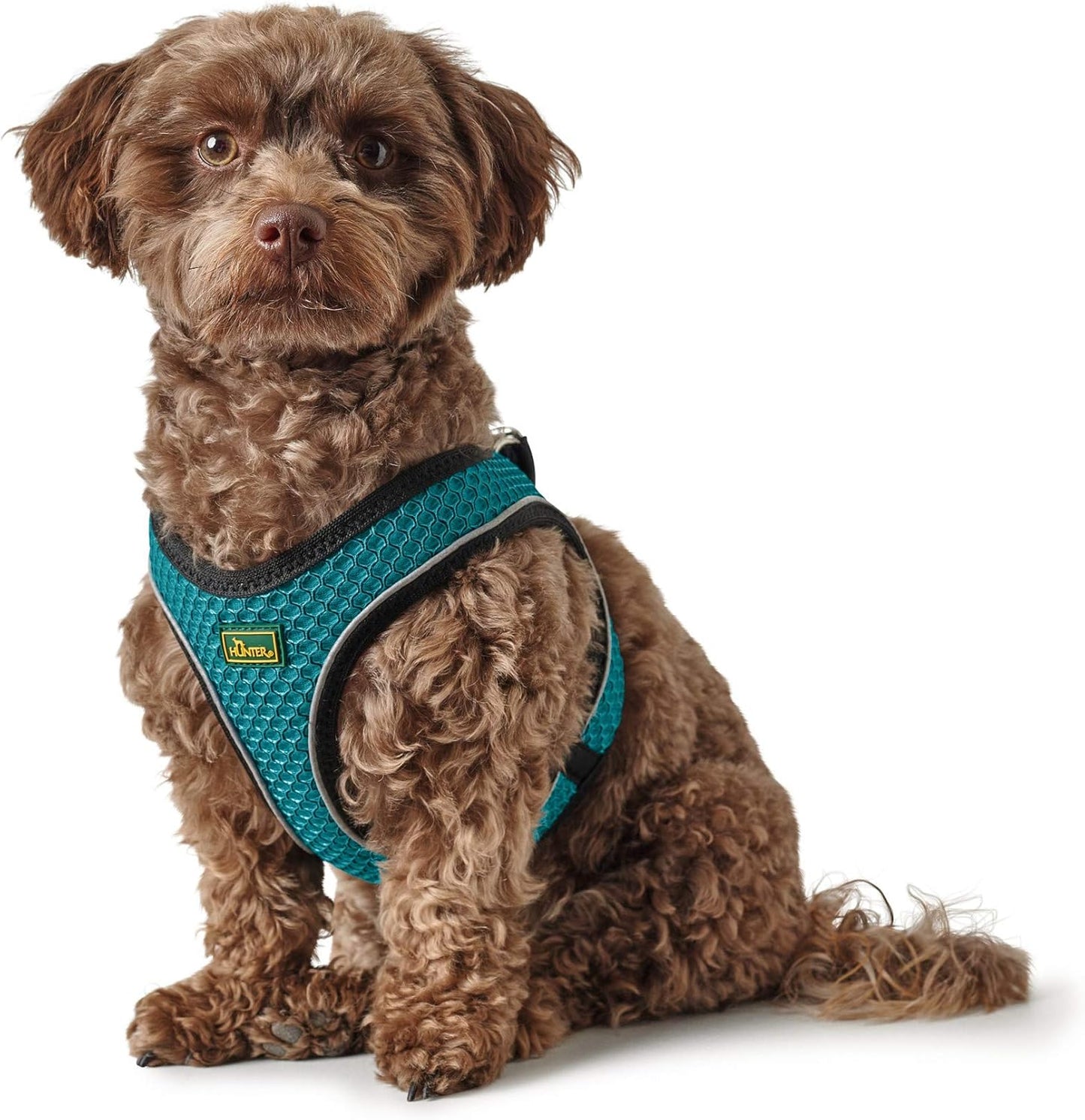 Hundegeschirr Hilo Comfort, türkis XXS