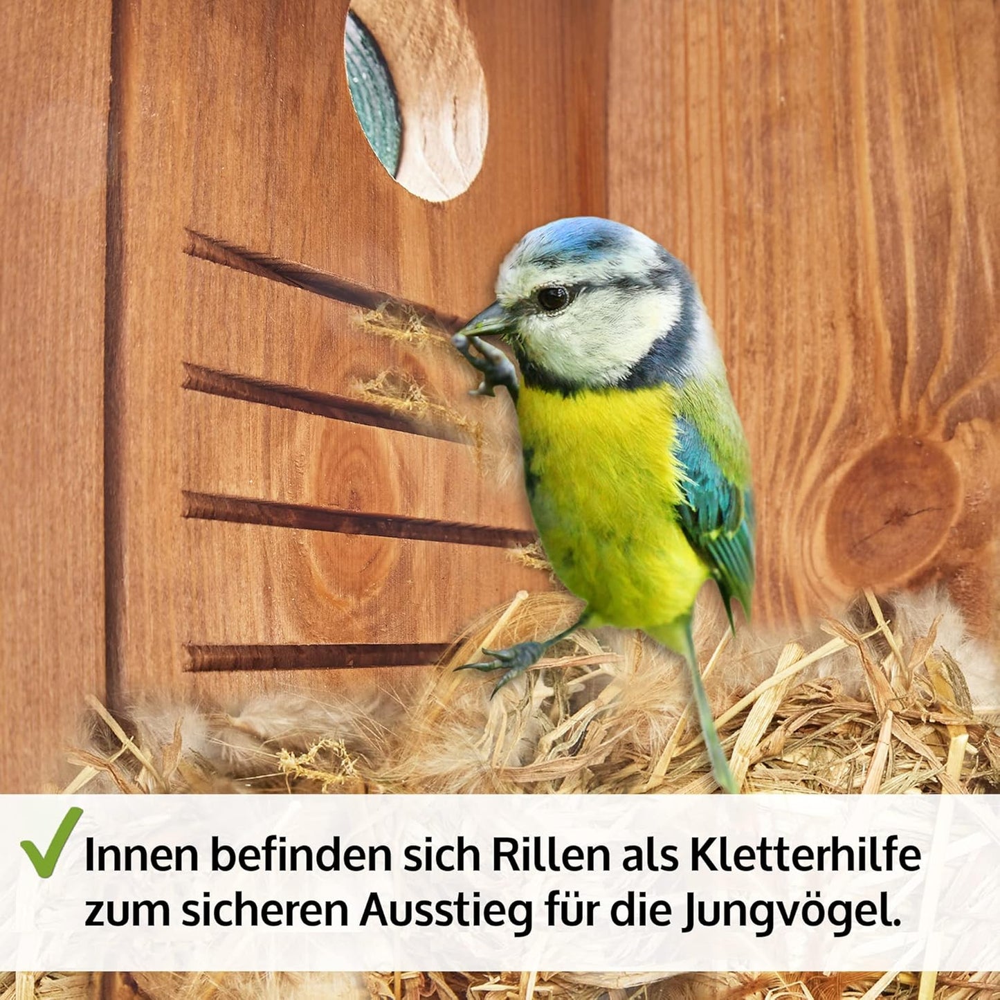 Nistkasten für Wildvögel, Nistkasten Grün