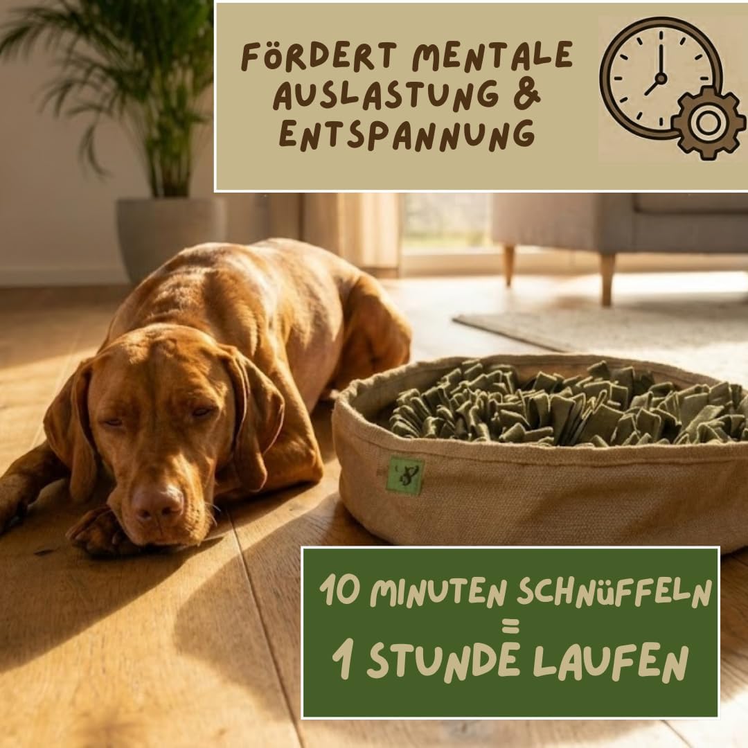 Schnüffelteppich